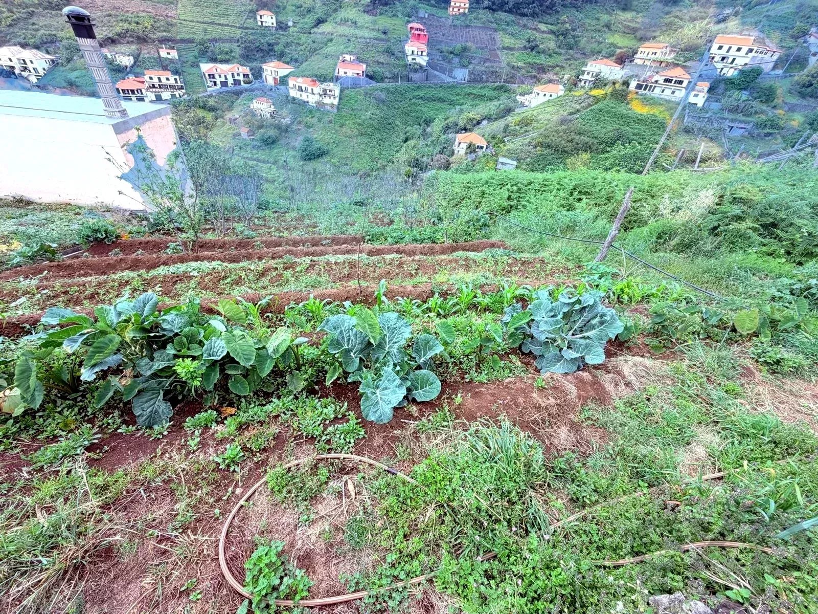 Terreno à venda em Estreito de Câmara de Lobos, 453 m²