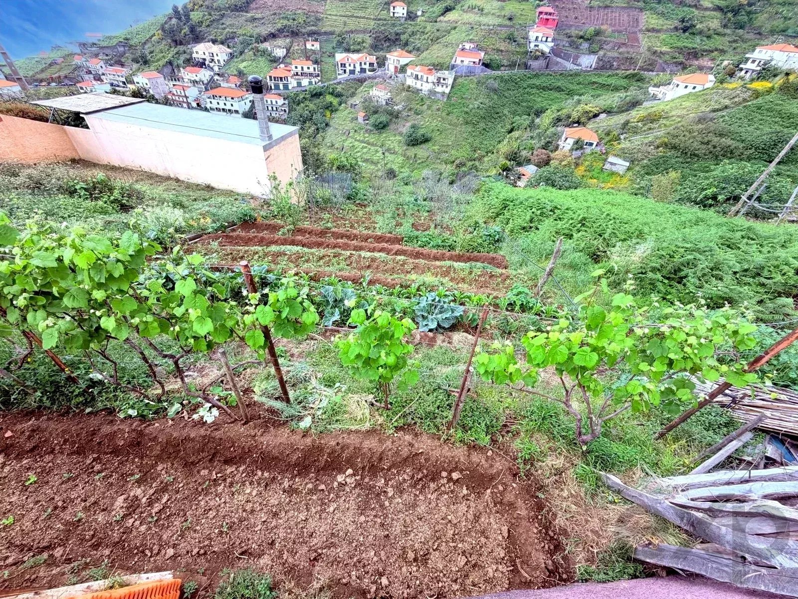 Terreno à venda em Estreito de Câmara de Lobos, 453 m²