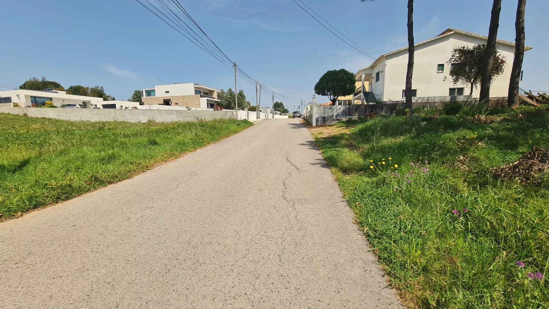Terreno à venda em Nadadouro, Rua do Alto Nobre, 2500-593 Nadadouro, 1716 m²