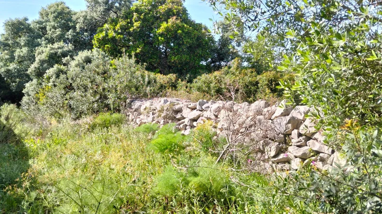 Terreno rústico à venda – Santa Bárbara de Nexe (Faro)