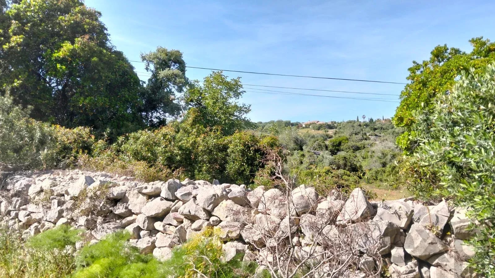 Terreno rústico à venda – Santa Bárbara de Nexe (Faro)