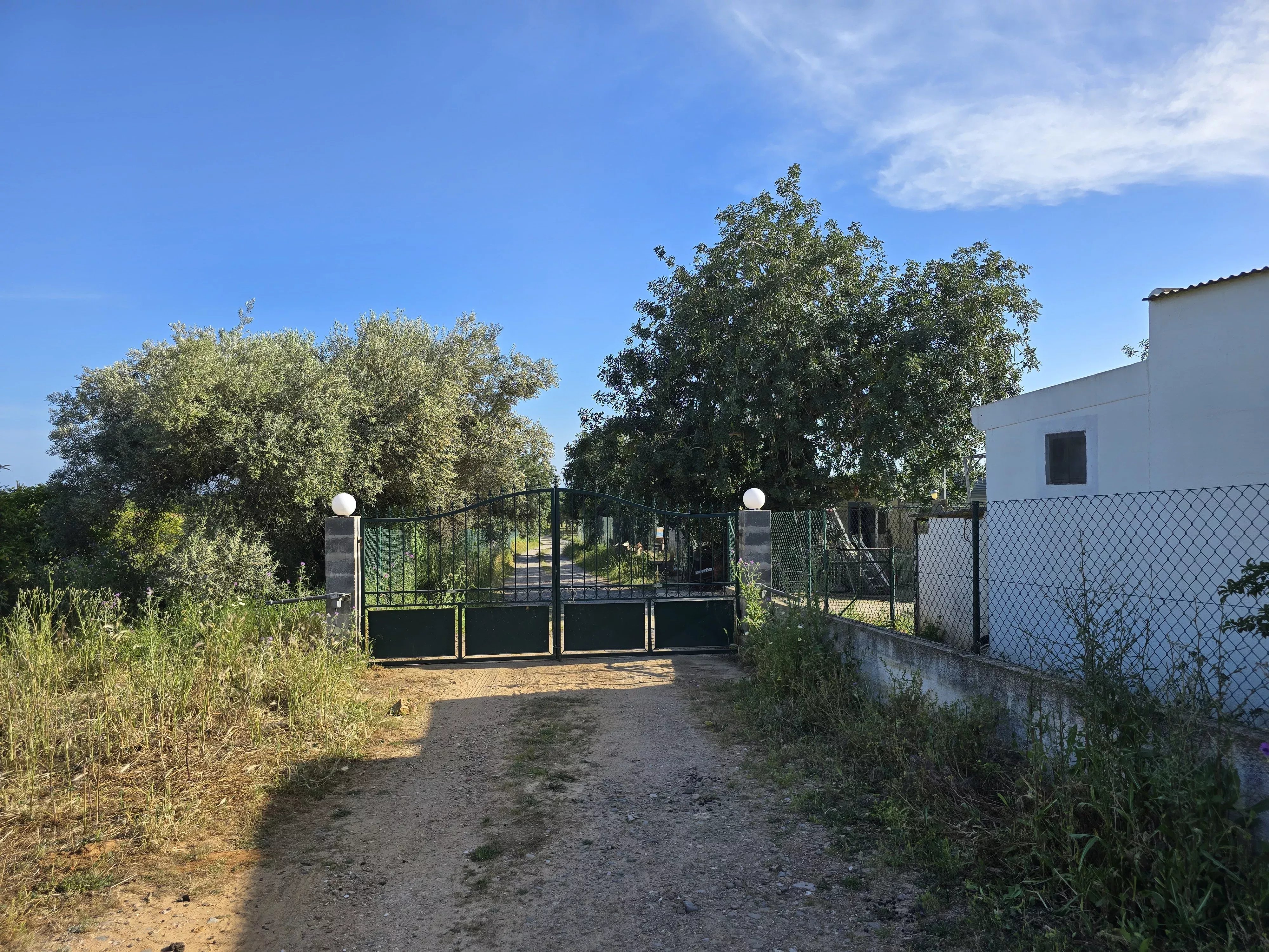 Estate comprising six rooms, situated on 1.5 hectares of land with a sea view 86949039 image 22