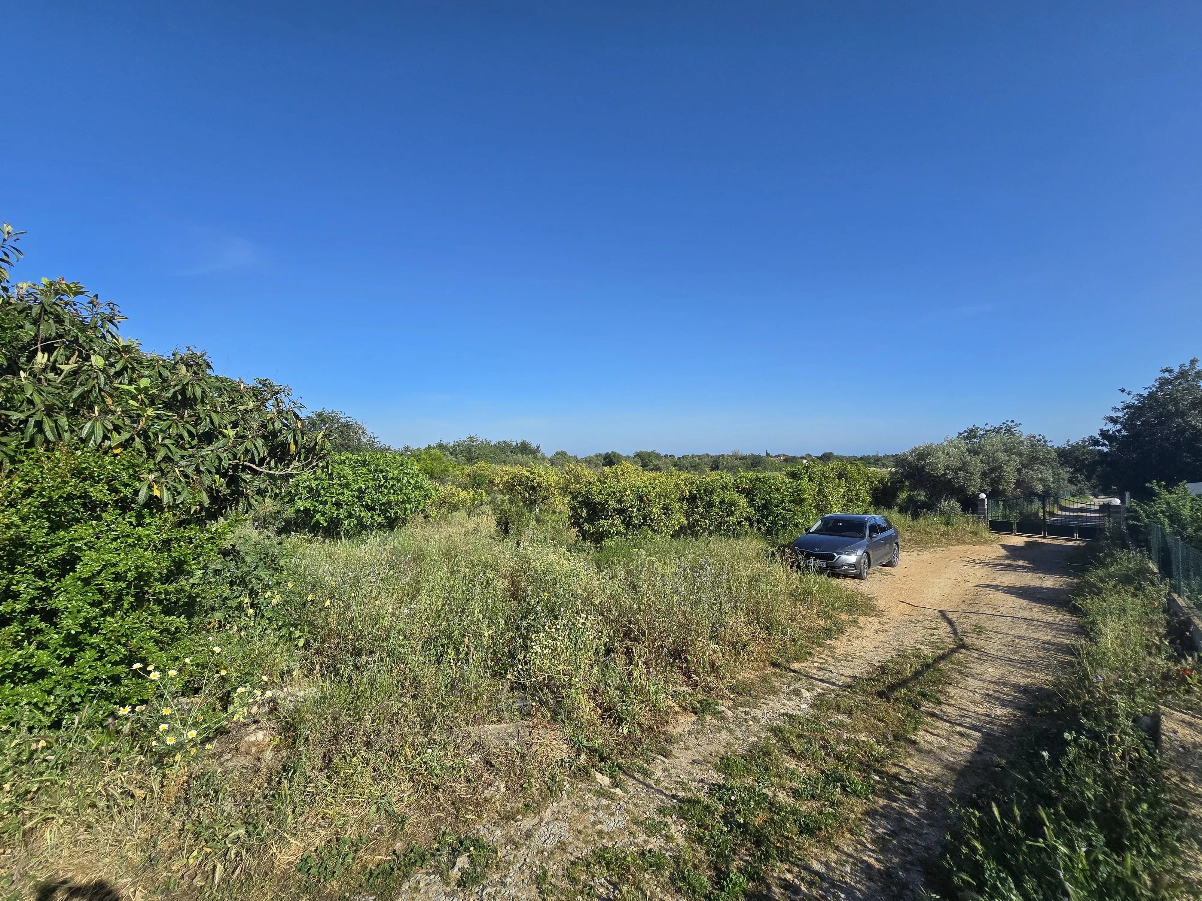 Estate comprising six rooms, situated on 1.5 hectares of land with a sea view 86949039 image 42