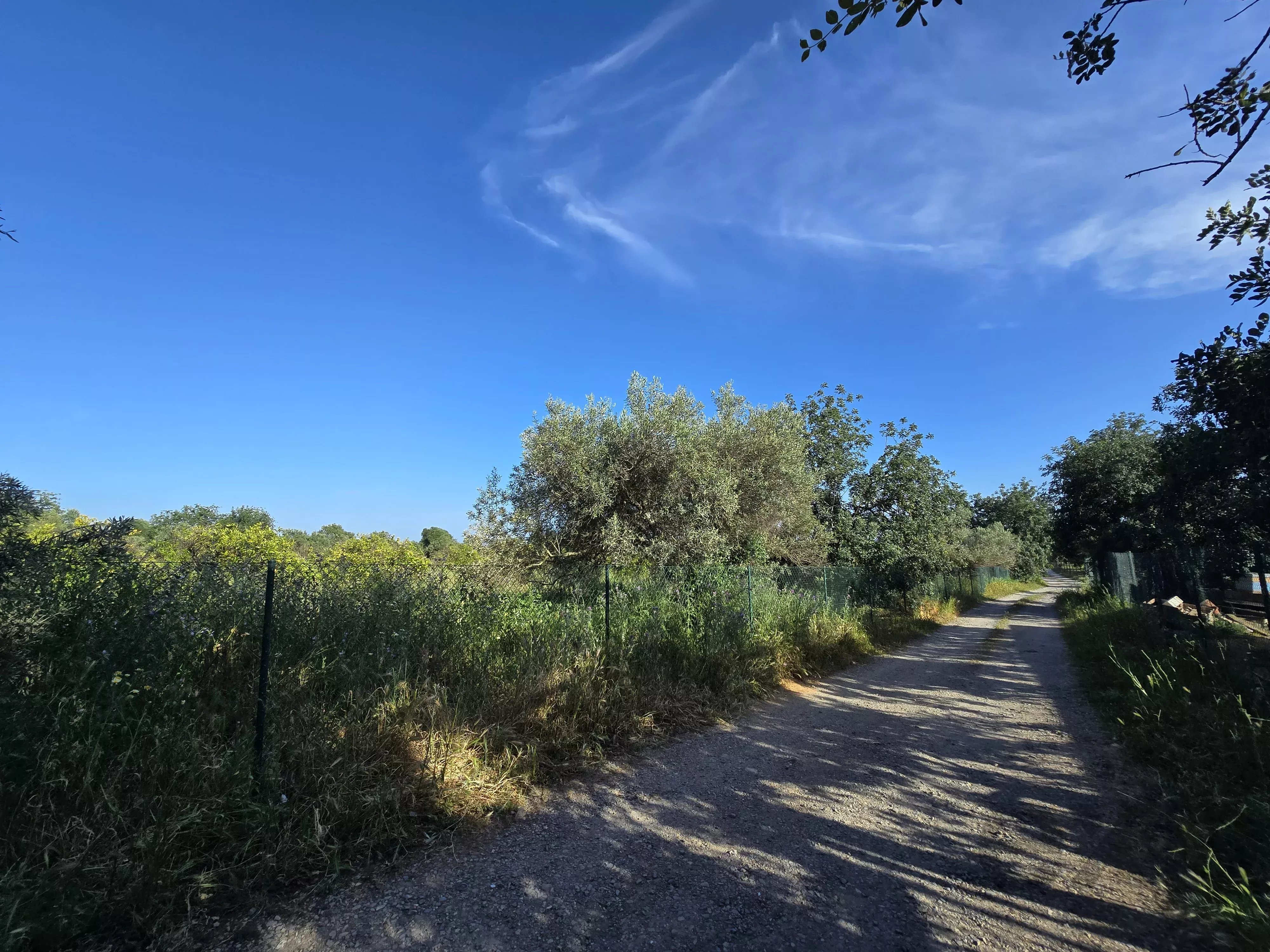 Estate comprising six rooms, situated on 1.5 hectares of land with a sea view 86949039 image 18