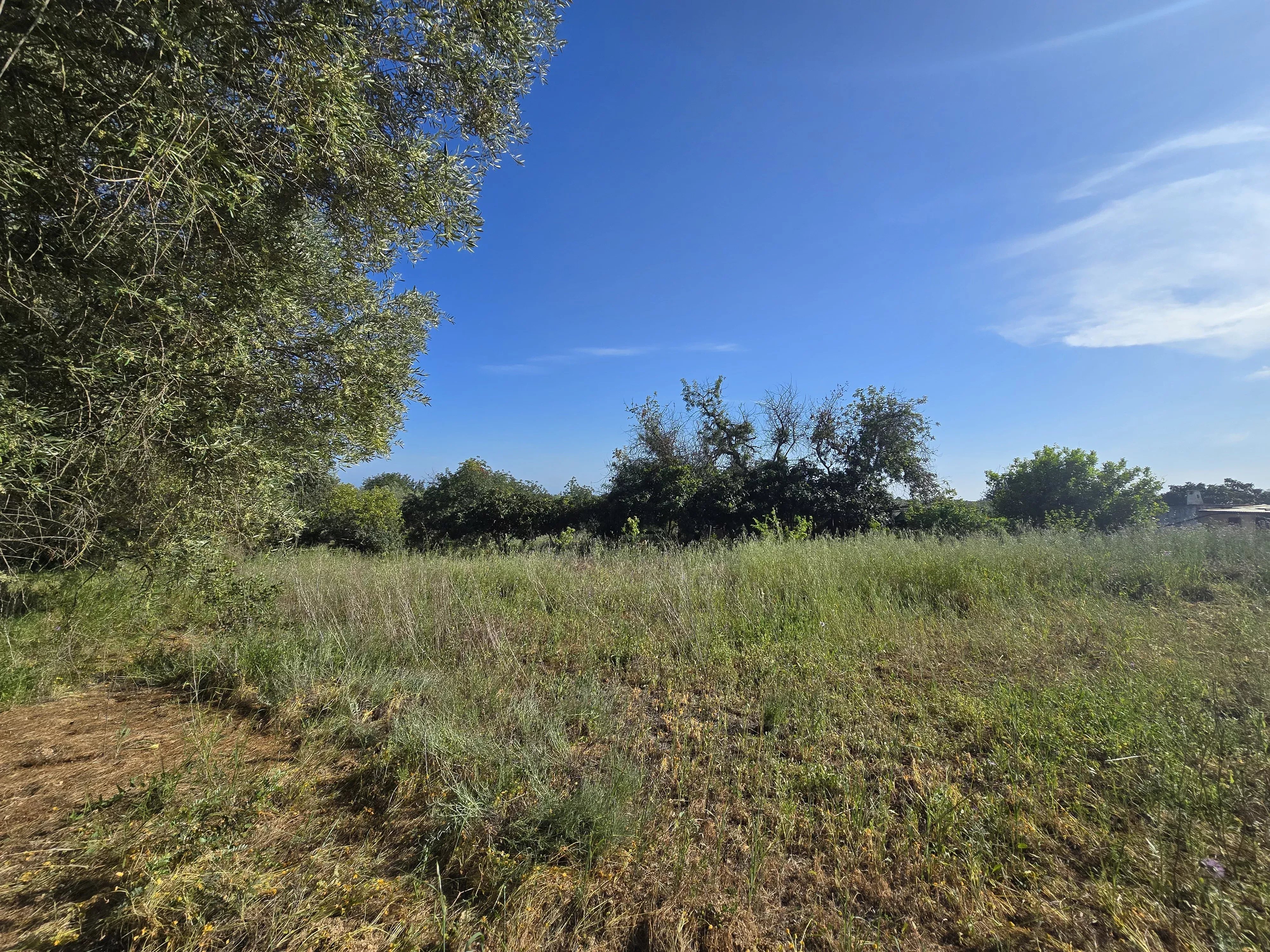 Estate comprising six rooms, situated on 1.5 hectares of land with a sea view 86949039 image 47