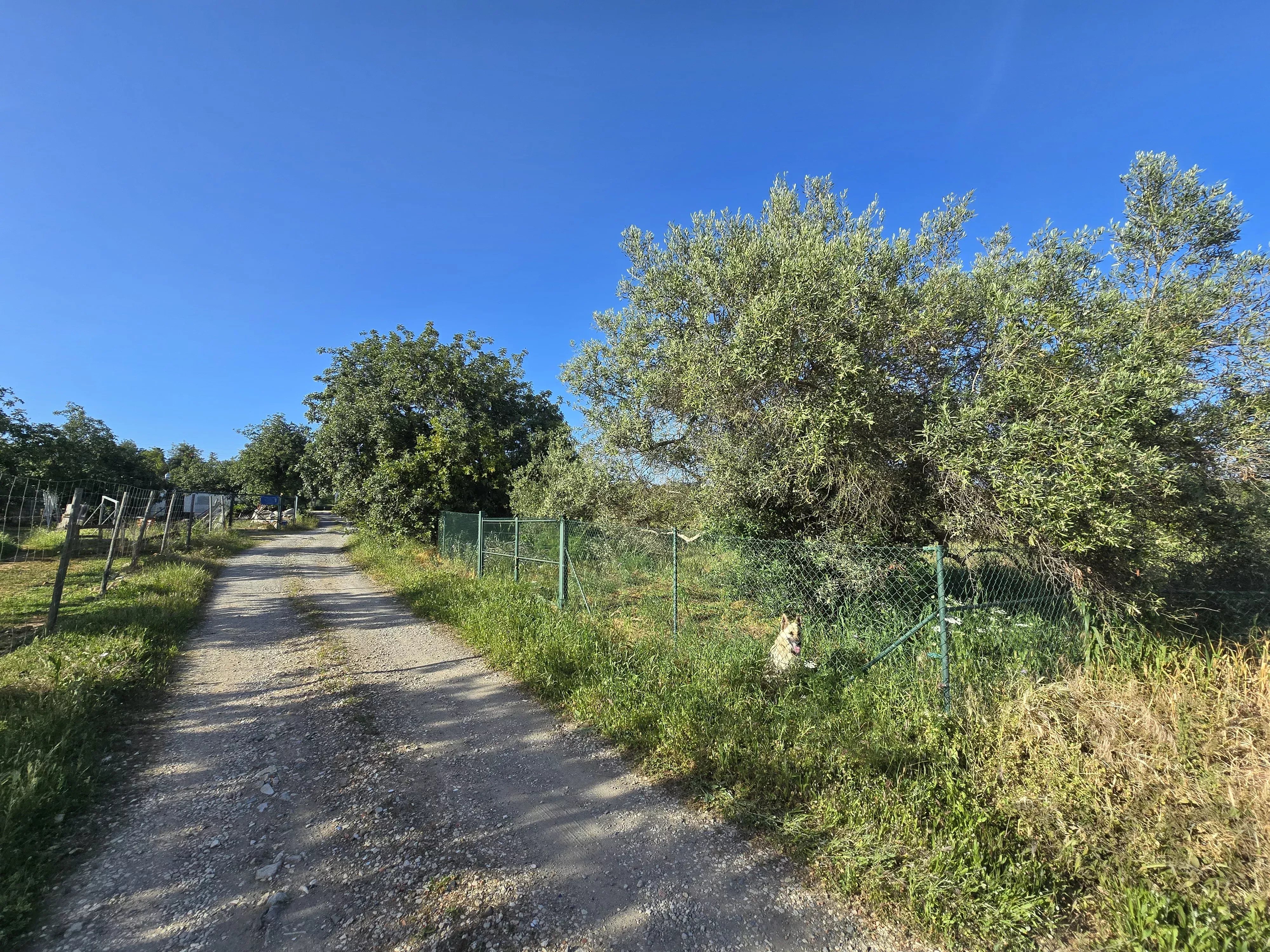 Estate comprising six rooms, situated on 1.5 hectares of land with a sea view 86949039 image 12