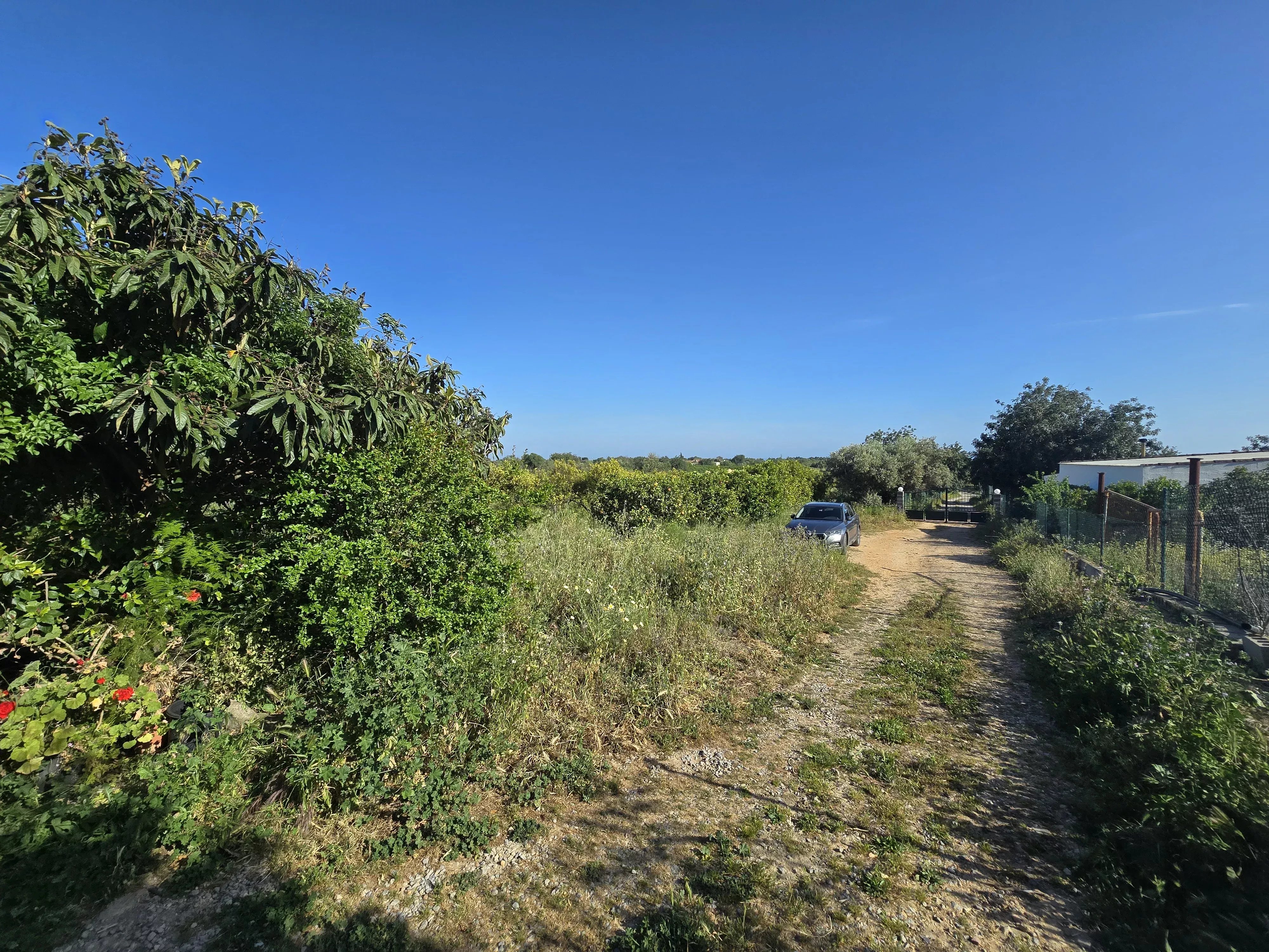 Estate comprising six rooms, situated on 1.5 hectares of land with a sea view 86949039 image 43