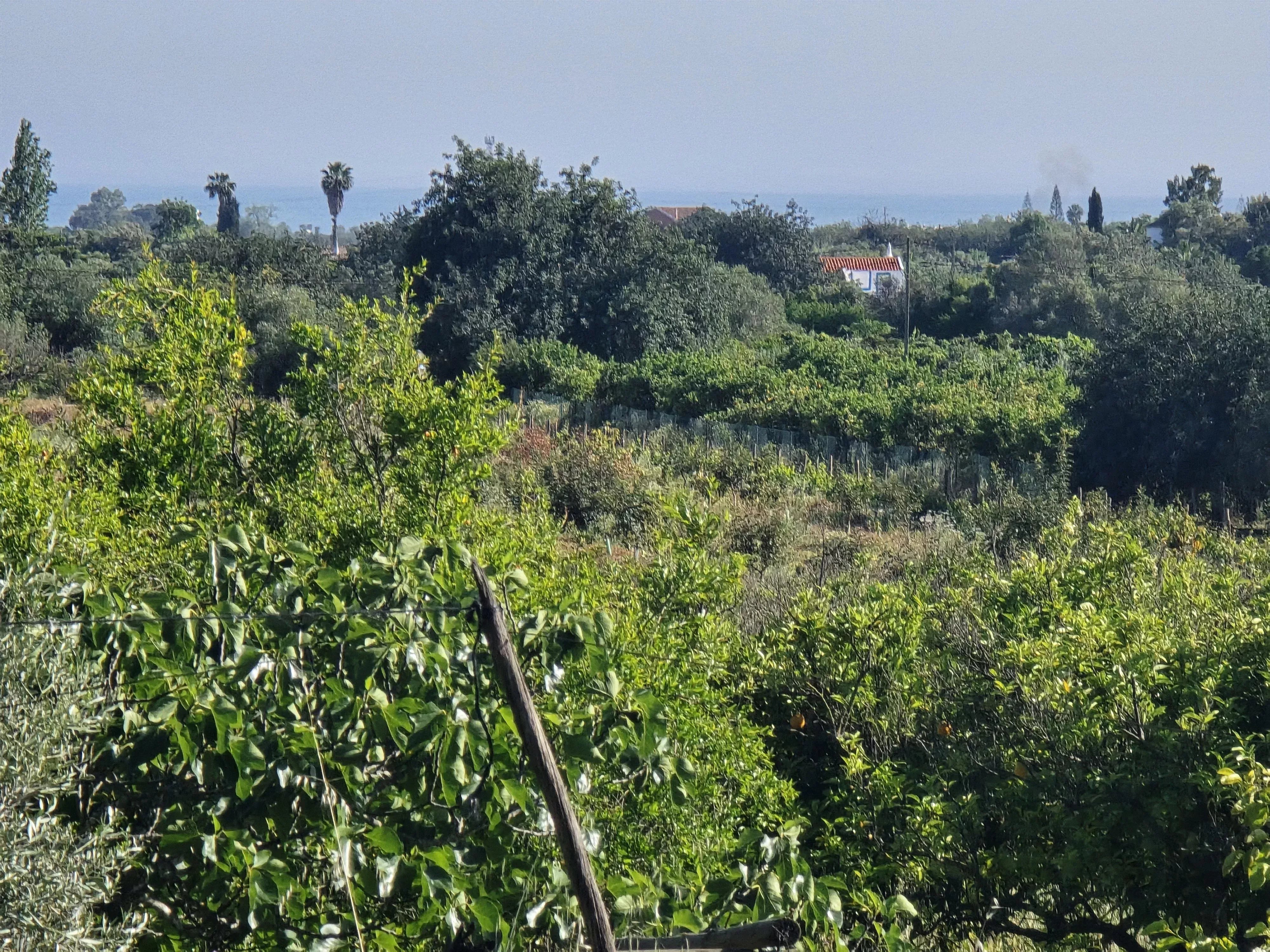 Estate comprising six rooms, situated on 1.5 hectares of land with a sea view 86949039 image 11