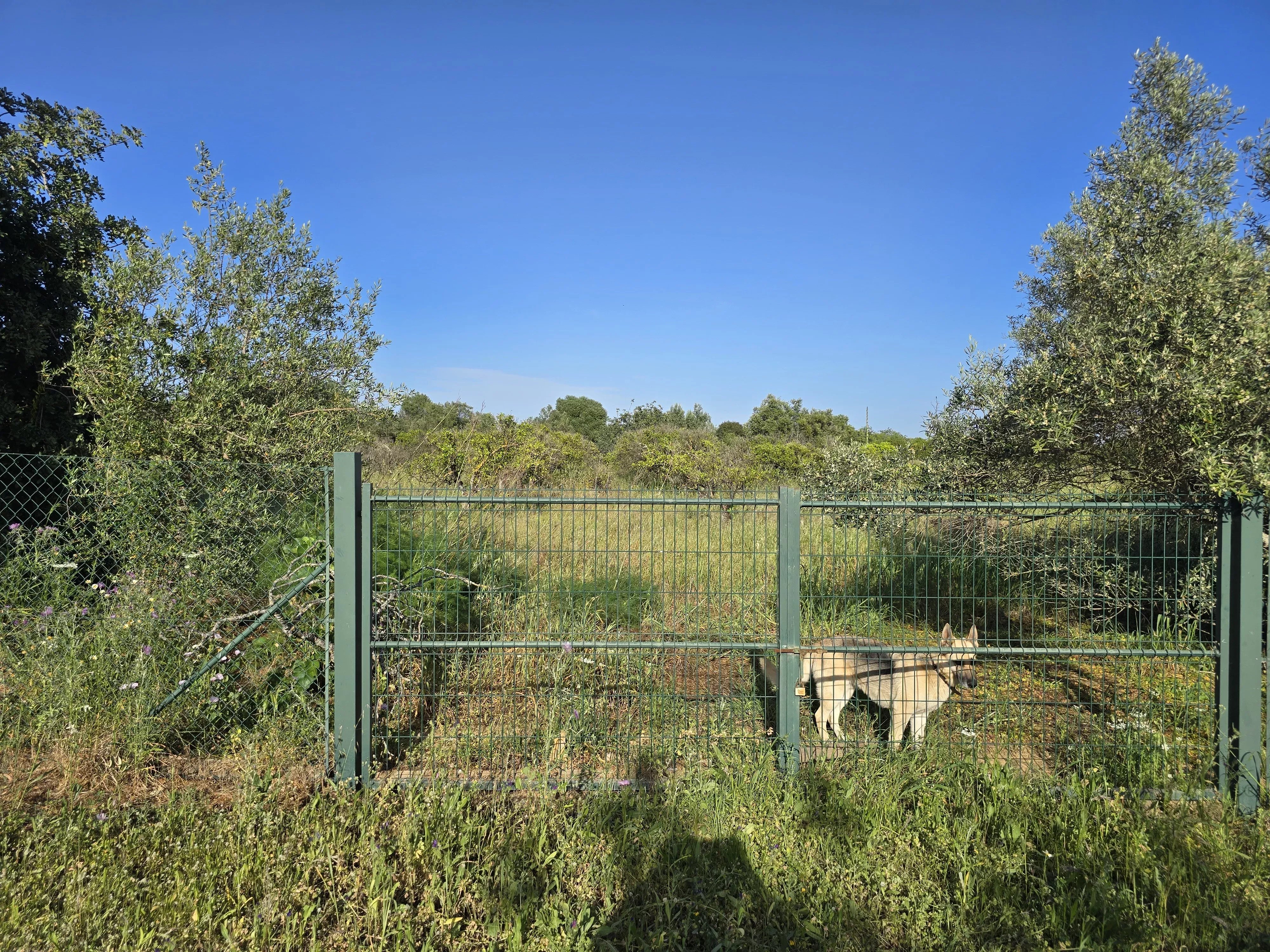 Estate comprising six rooms, situated on 1.5 hectares of land with a sea view 86949039 image 15