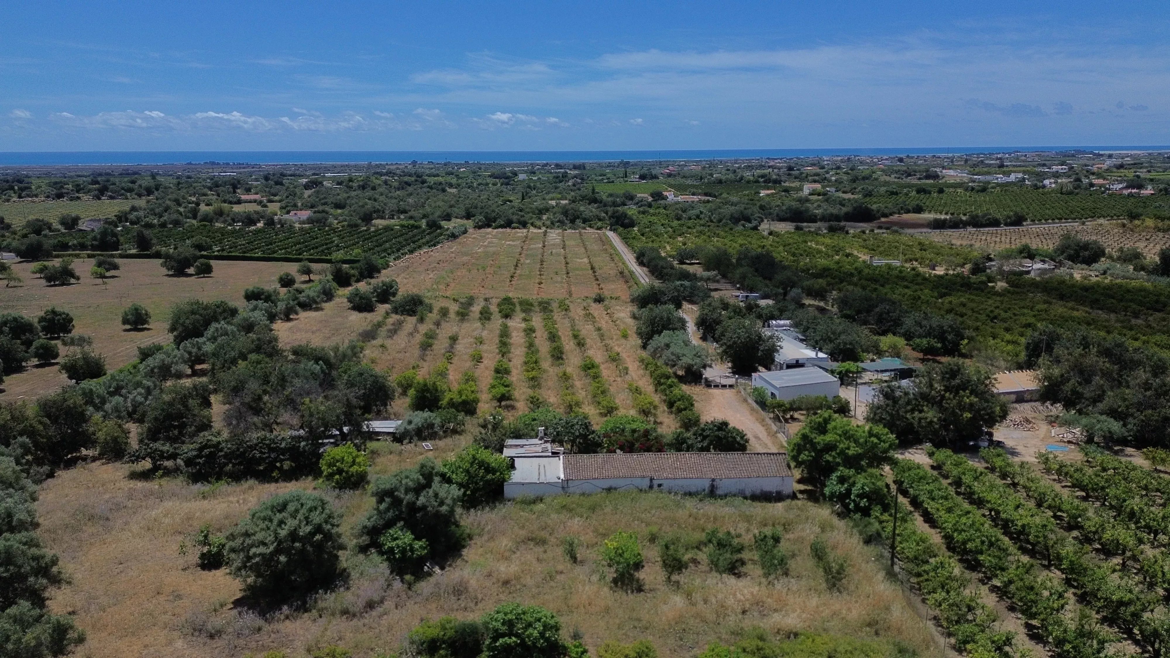 Quinta de 6 assoalhadas com 1,5 hectares de terreno e vista mar