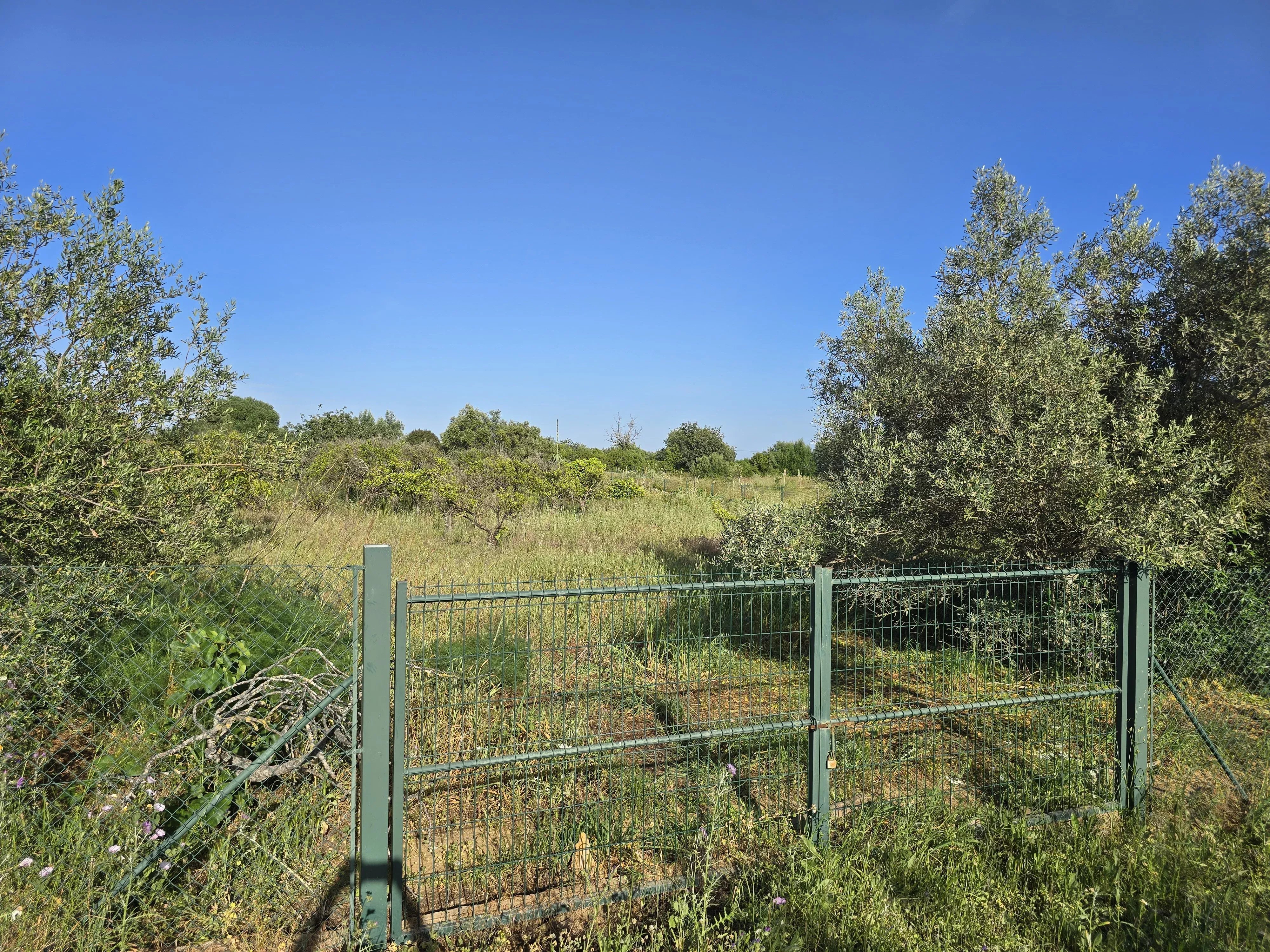 Estate comprising six rooms, situated on 1.5 hectares of land with a sea view 86949039 image 14