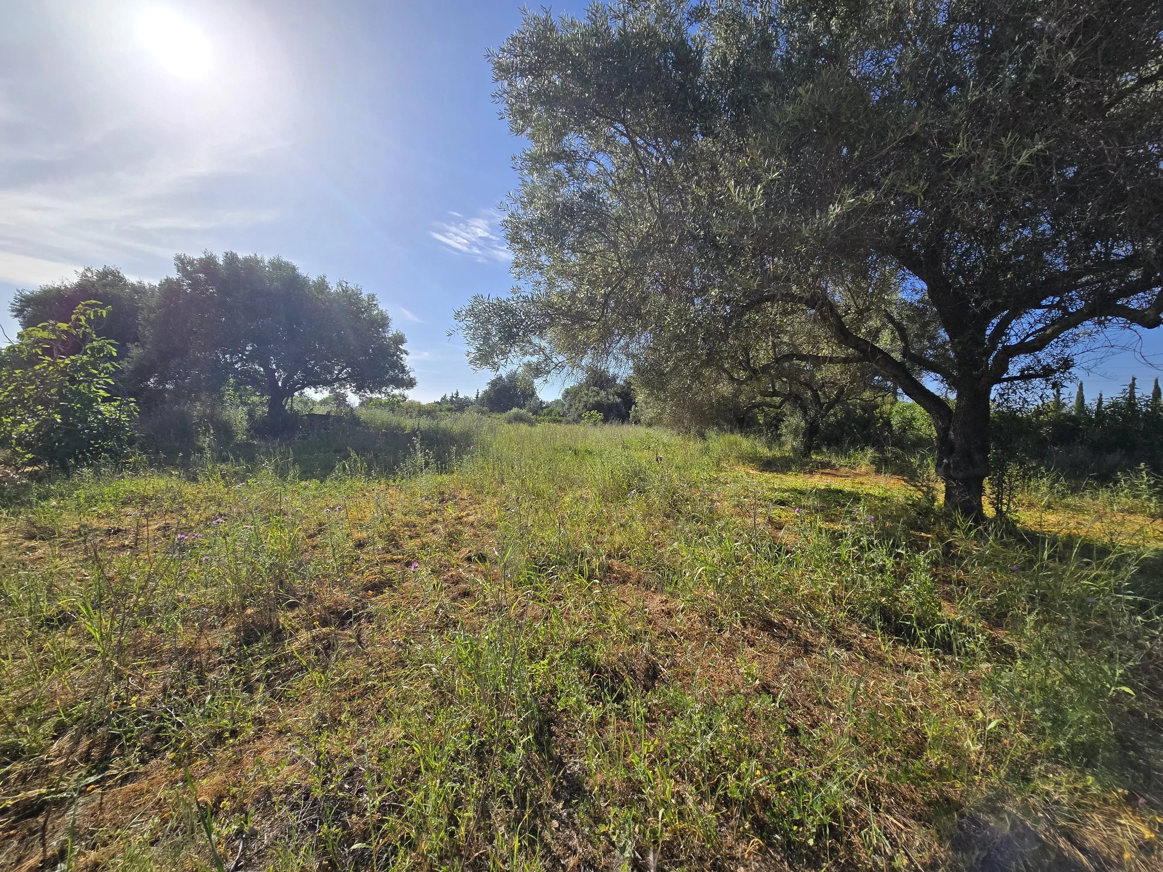 Estate comprising six rooms, situated on 1.5 hectares of land with a sea view 86949039 image 46