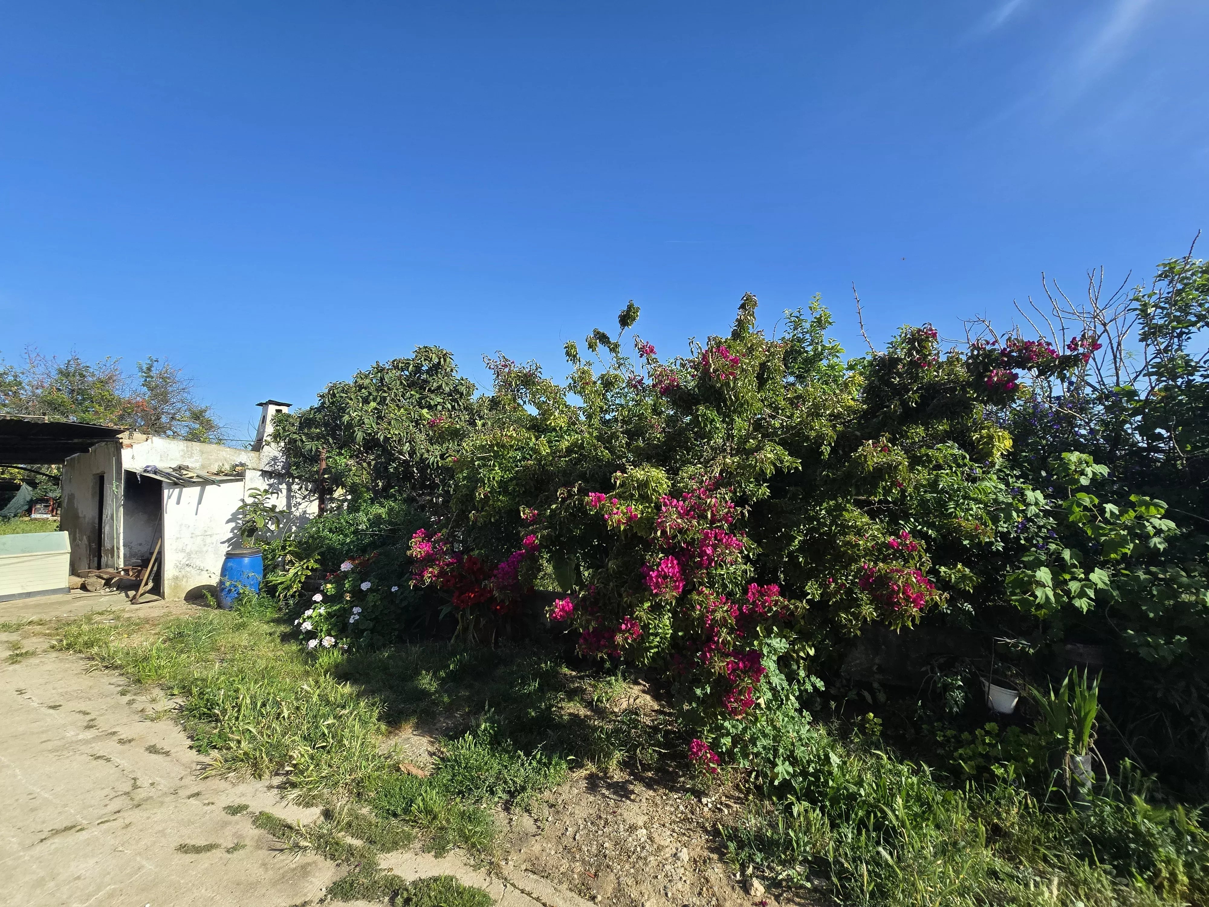 Estate comprising six rooms, situated on 1.5 hectares of land with a sea view 86949039 image 26