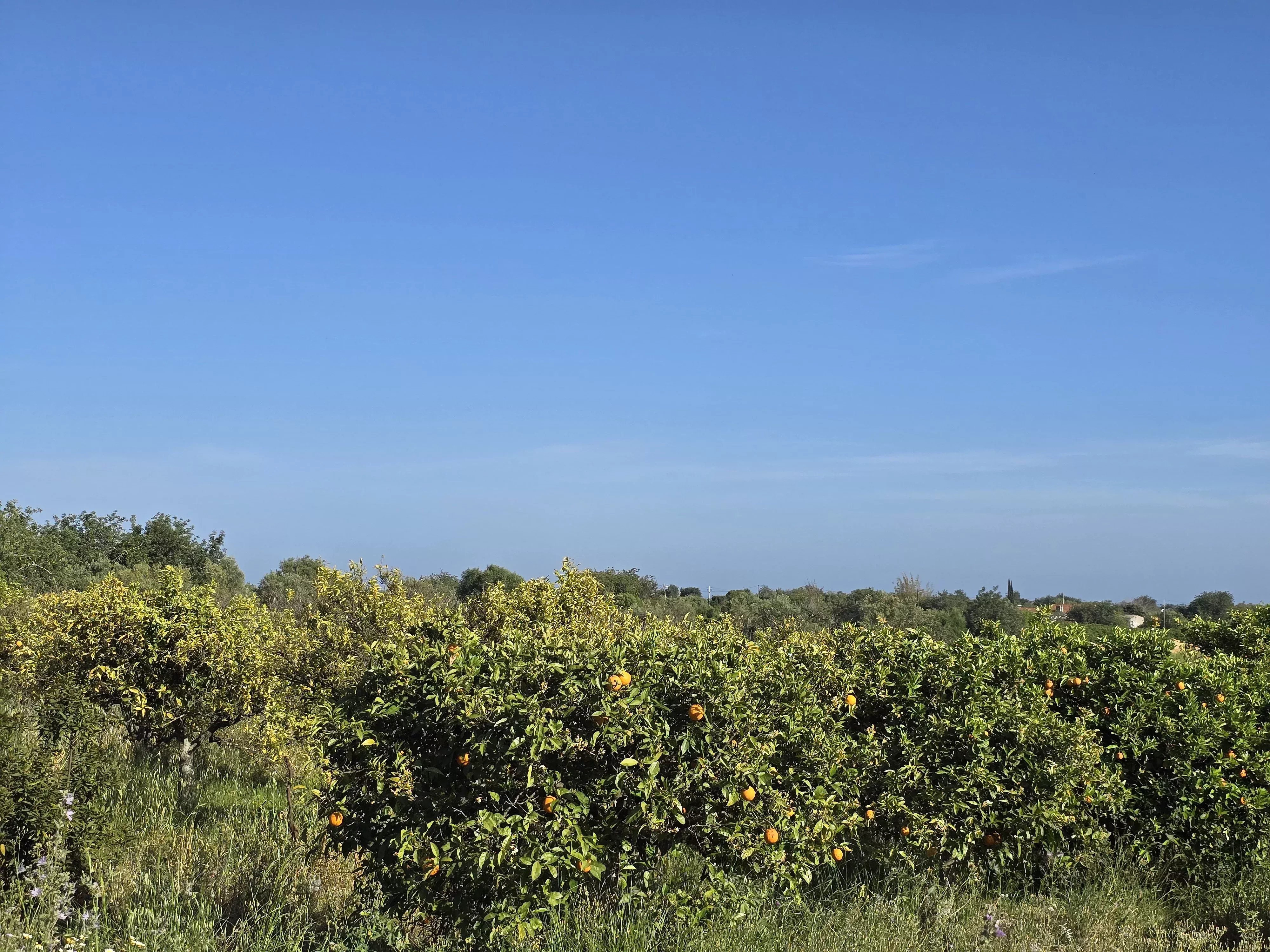 Estate comprising six rooms, situated on 1.5 hectares of land with a sea view 86949039 image 24