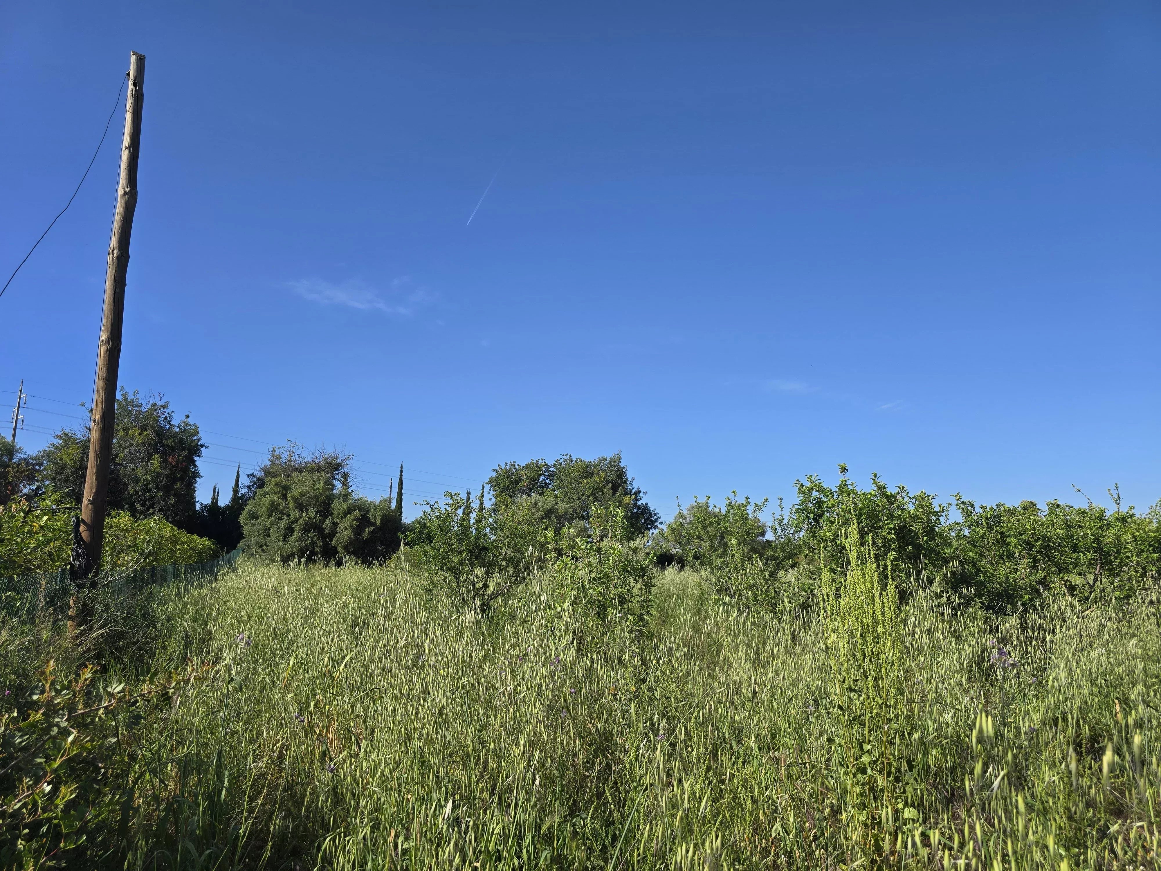 Estate comprising six rooms, situated on 1.5 hectares of land with a sea view 86949039 image 41