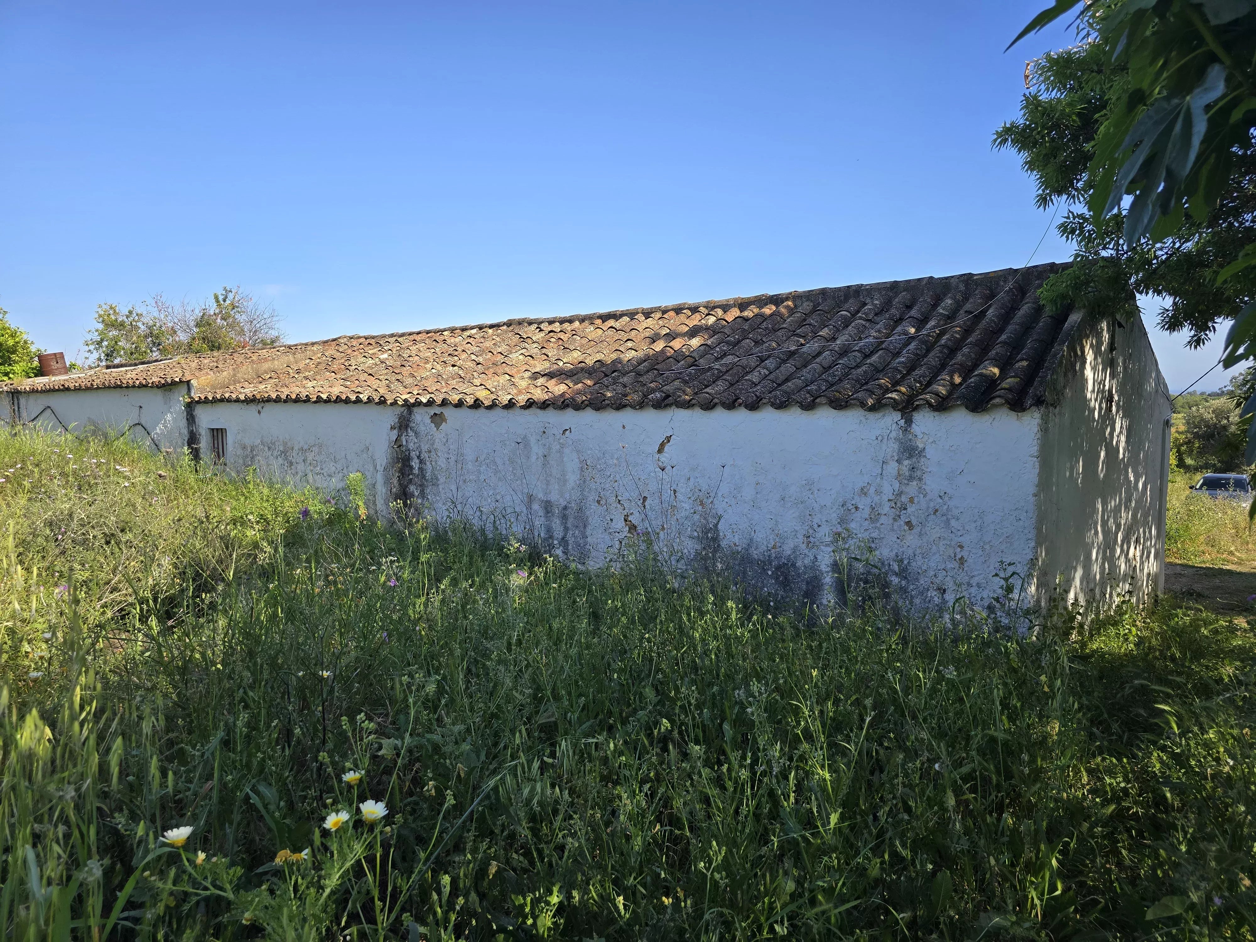 Estate comprising six rooms, situated on 1.5 hectares of land with a sea view 86949039 image 10