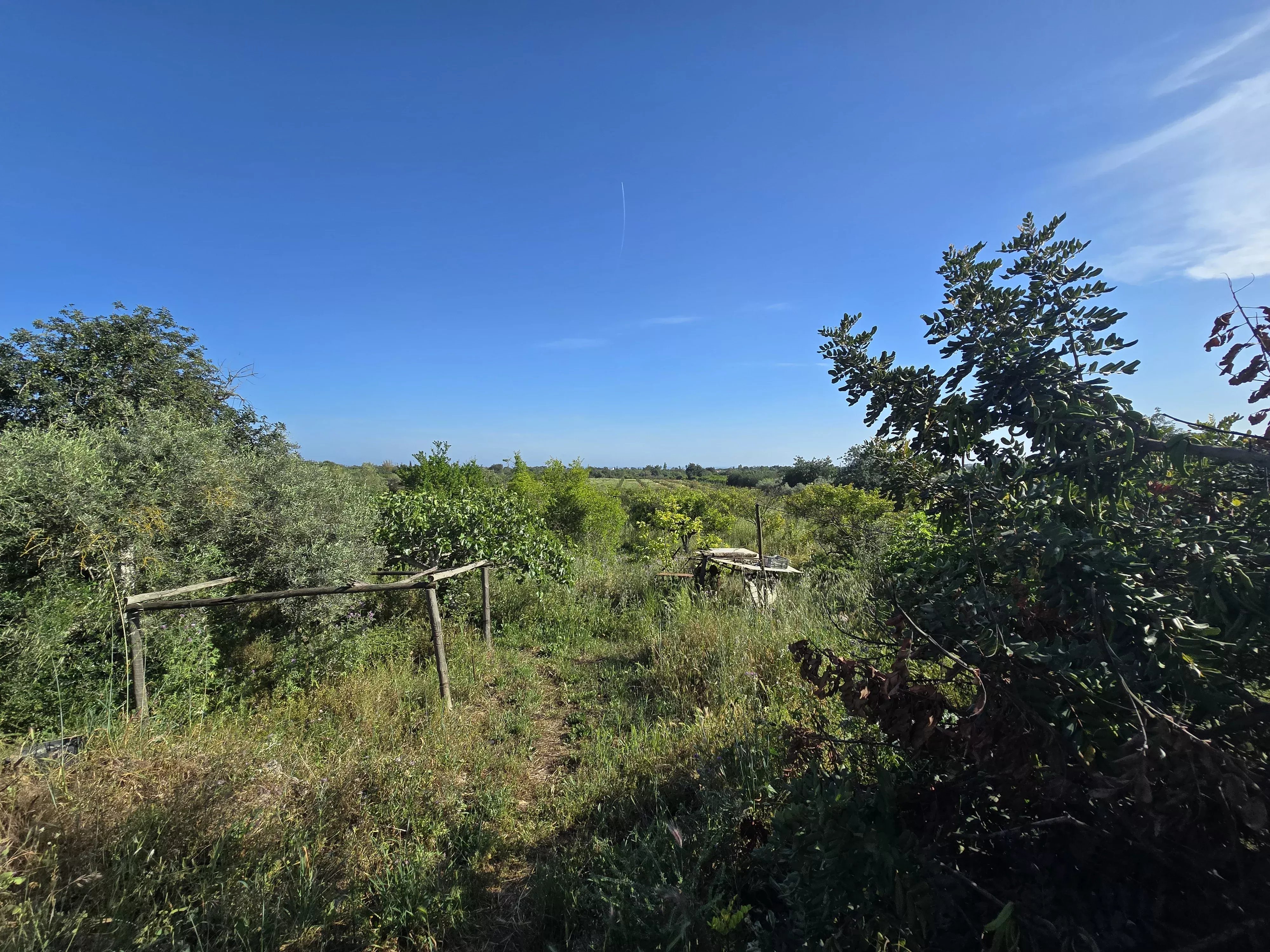 Estate comprising six rooms, situated on 1.5 hectares of land with a sea view 86949039 image 44