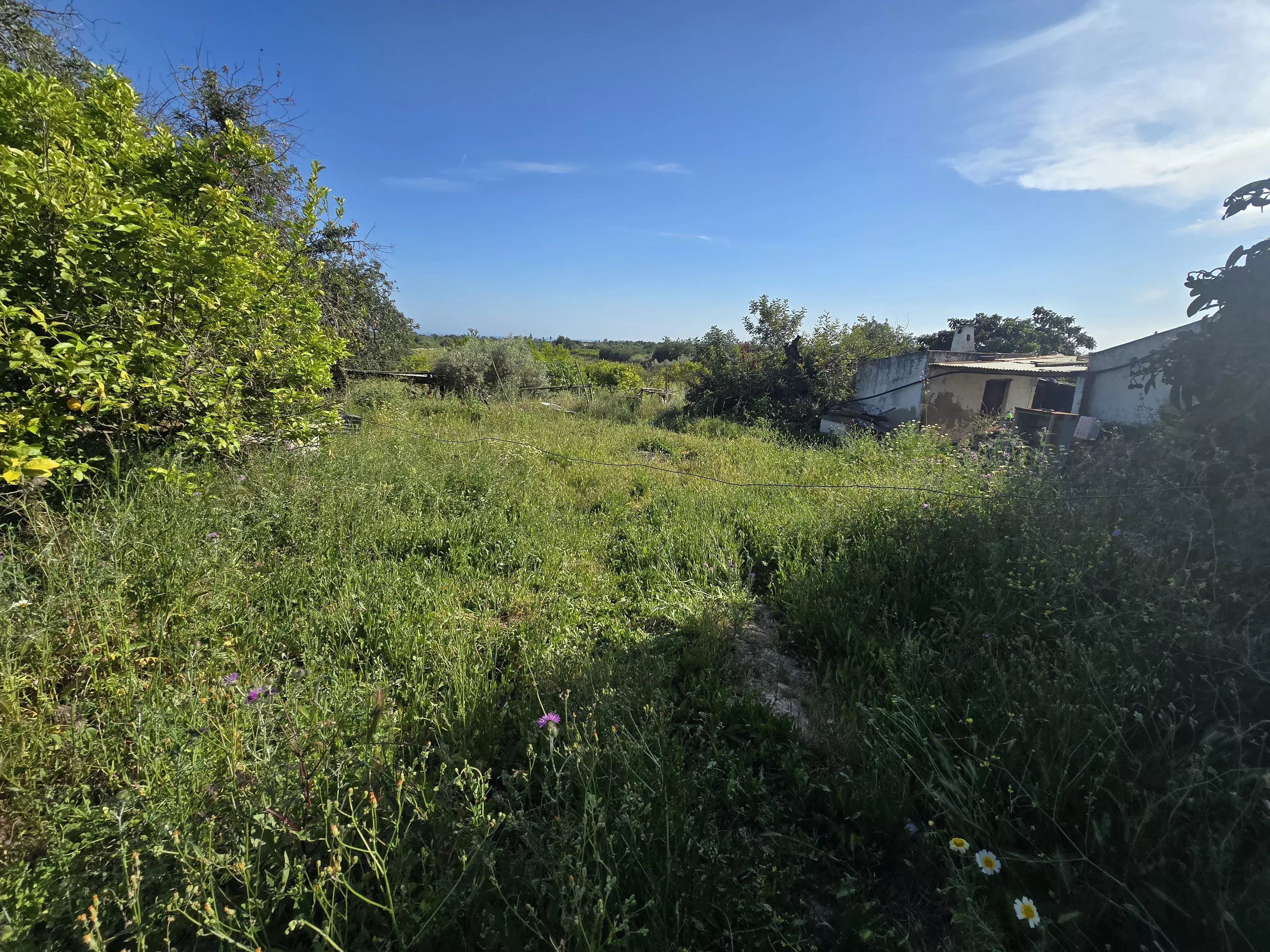 Estate comprising six rooms, situated on 1.5 hectares of land with a sea view 86949039 image 45