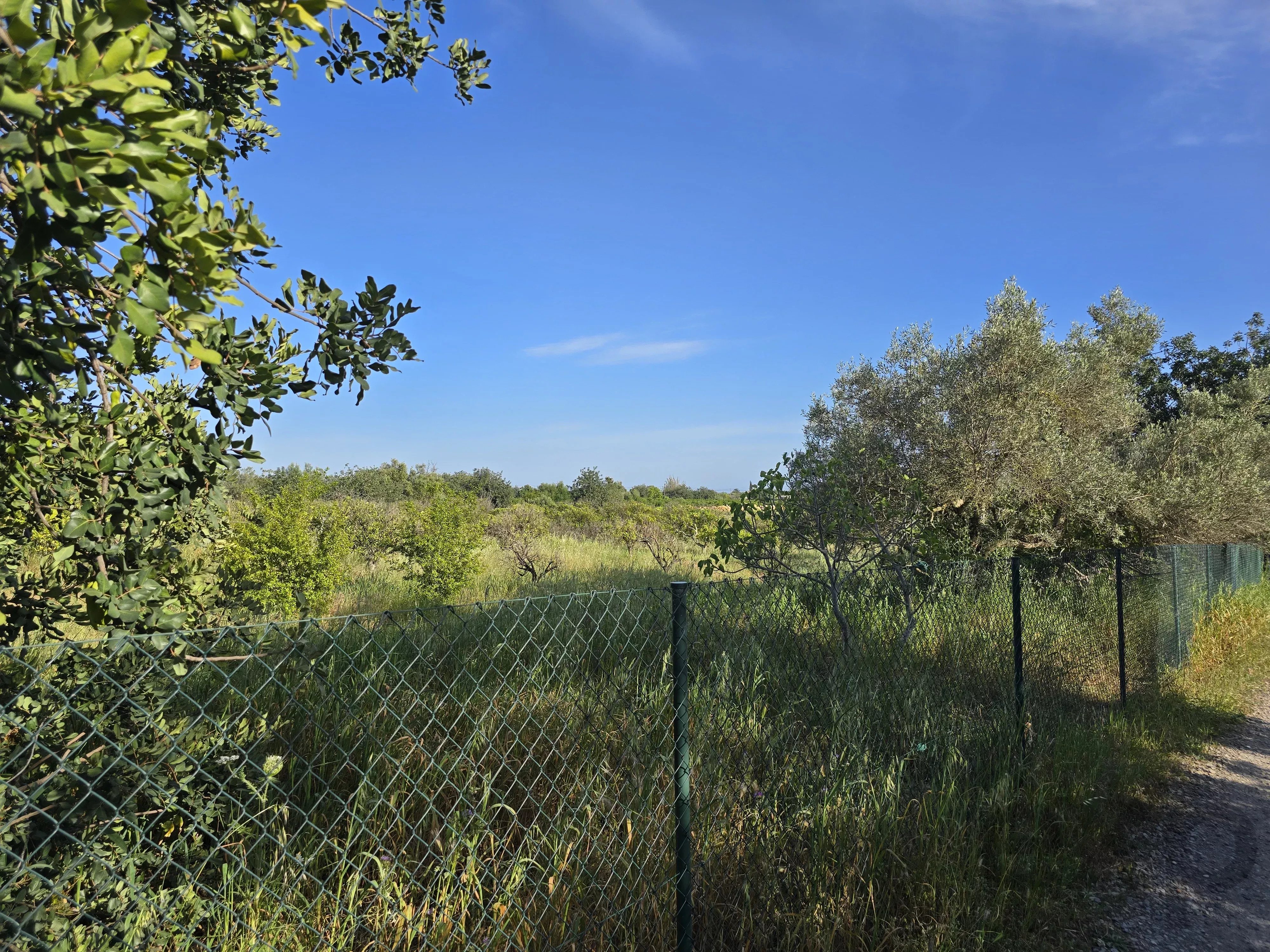 Estate comprising six rooms, situated on 1.5 hectares of land with a sea view 86949039 image 17