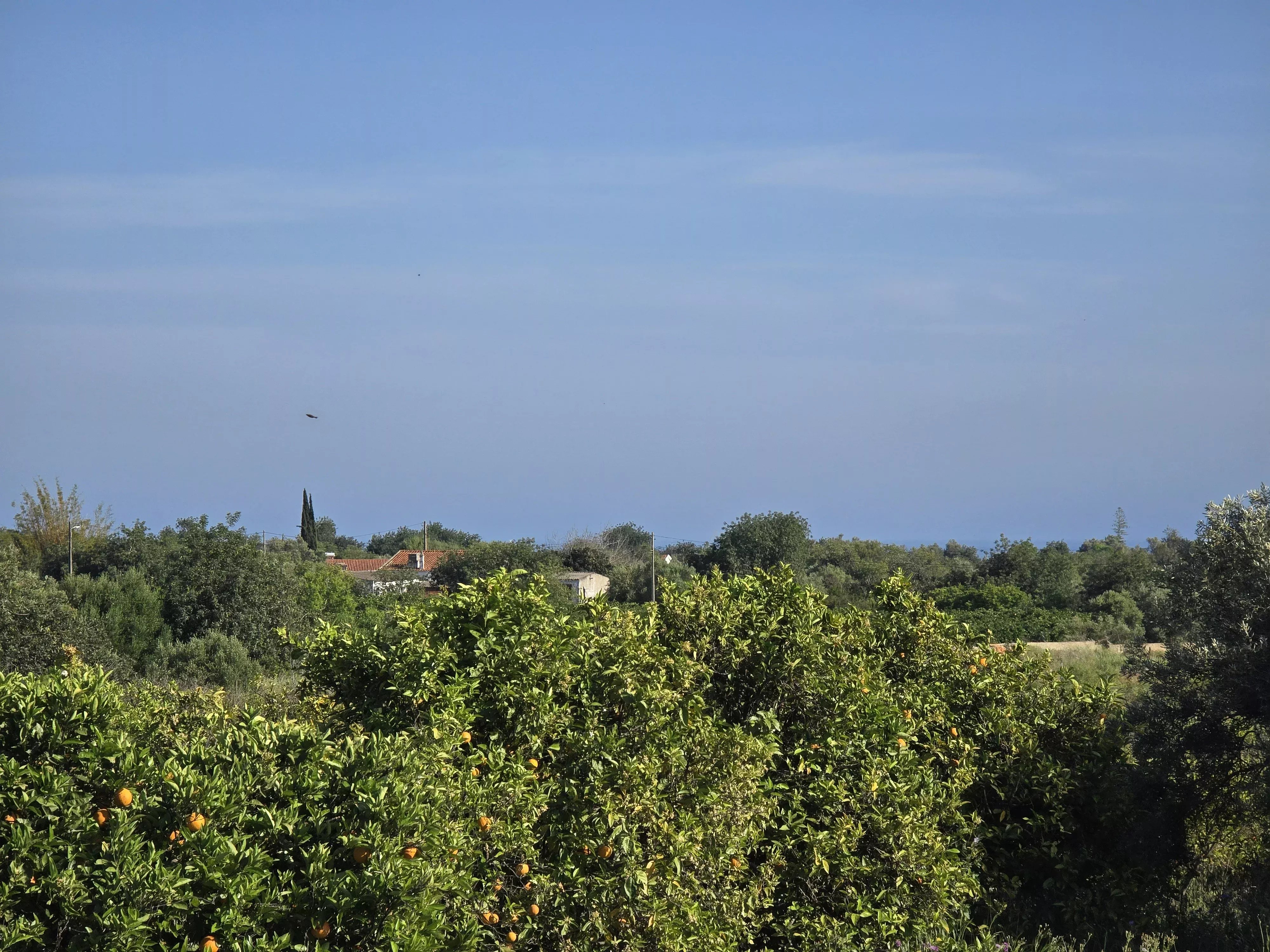 Estate comprising six rooms, situated on 1.5 hectares of land with a sea view 86949039 image 23