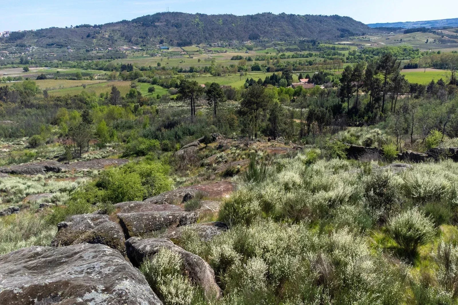 Terreno à venda em Covilhã e Canhoso, 60000 m²