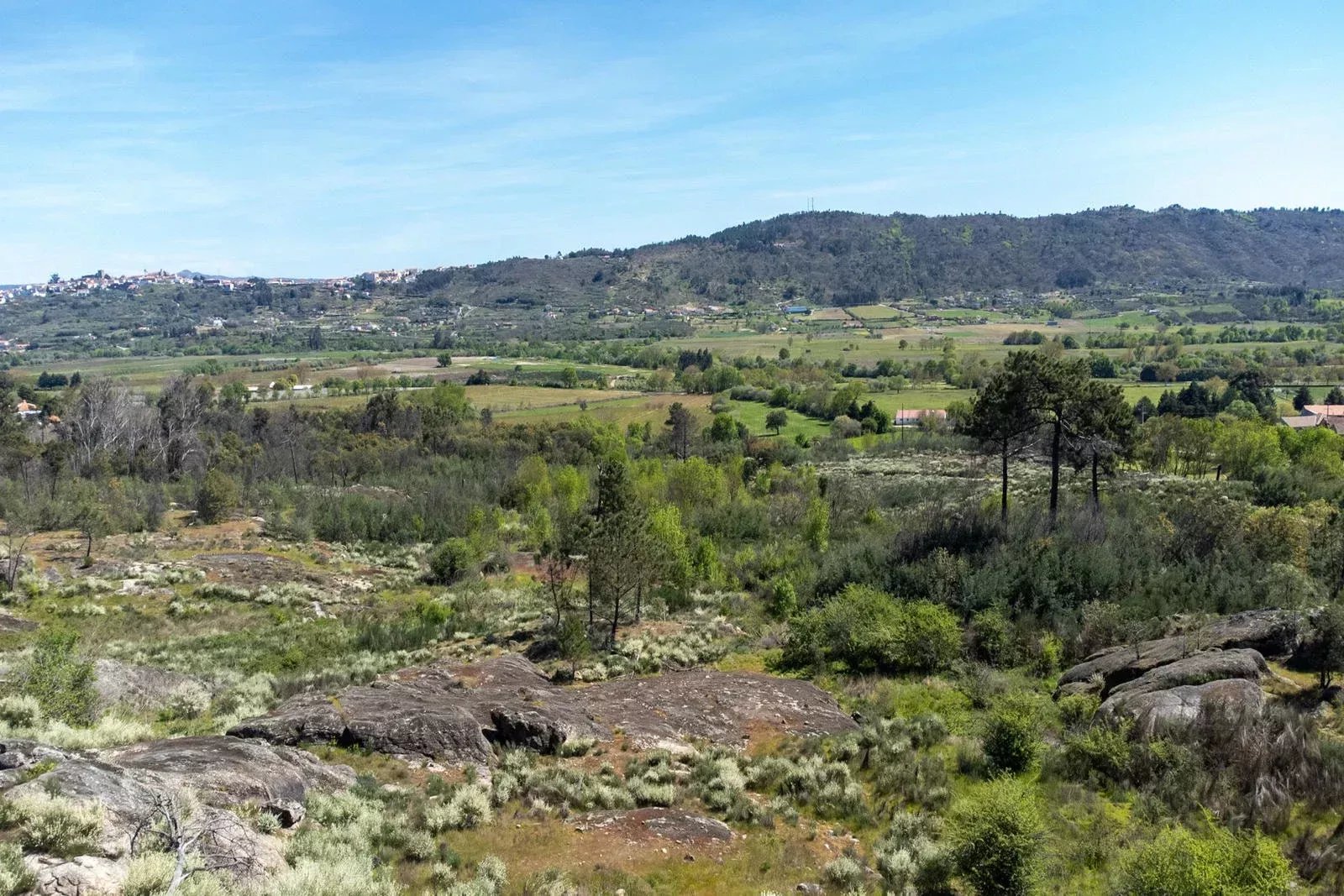 Terreno à venda em Covilhã e Canhoso, 60000 m²