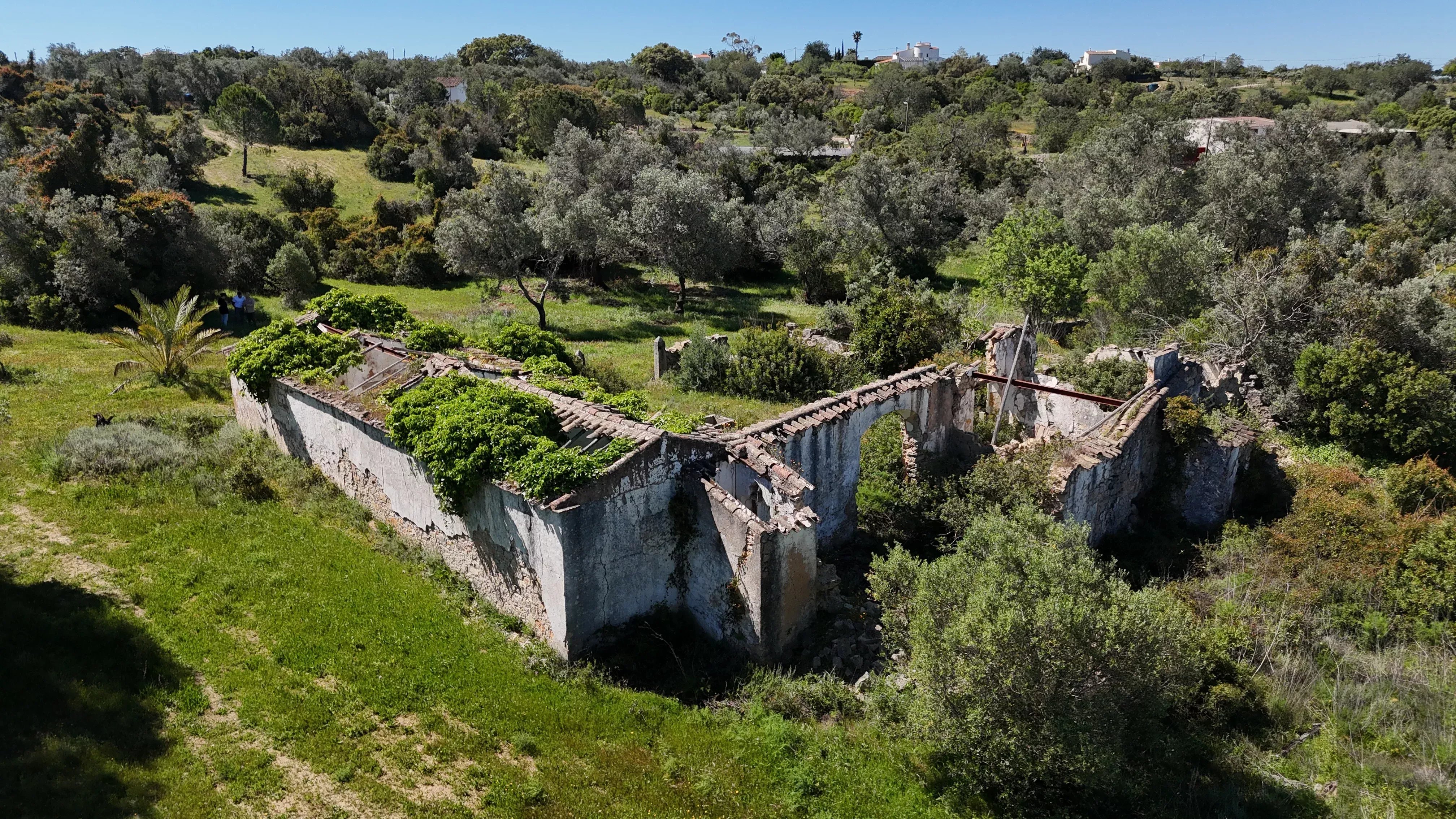 Algarve (serra) - Terreno com Ruína com Projeto Aprovado