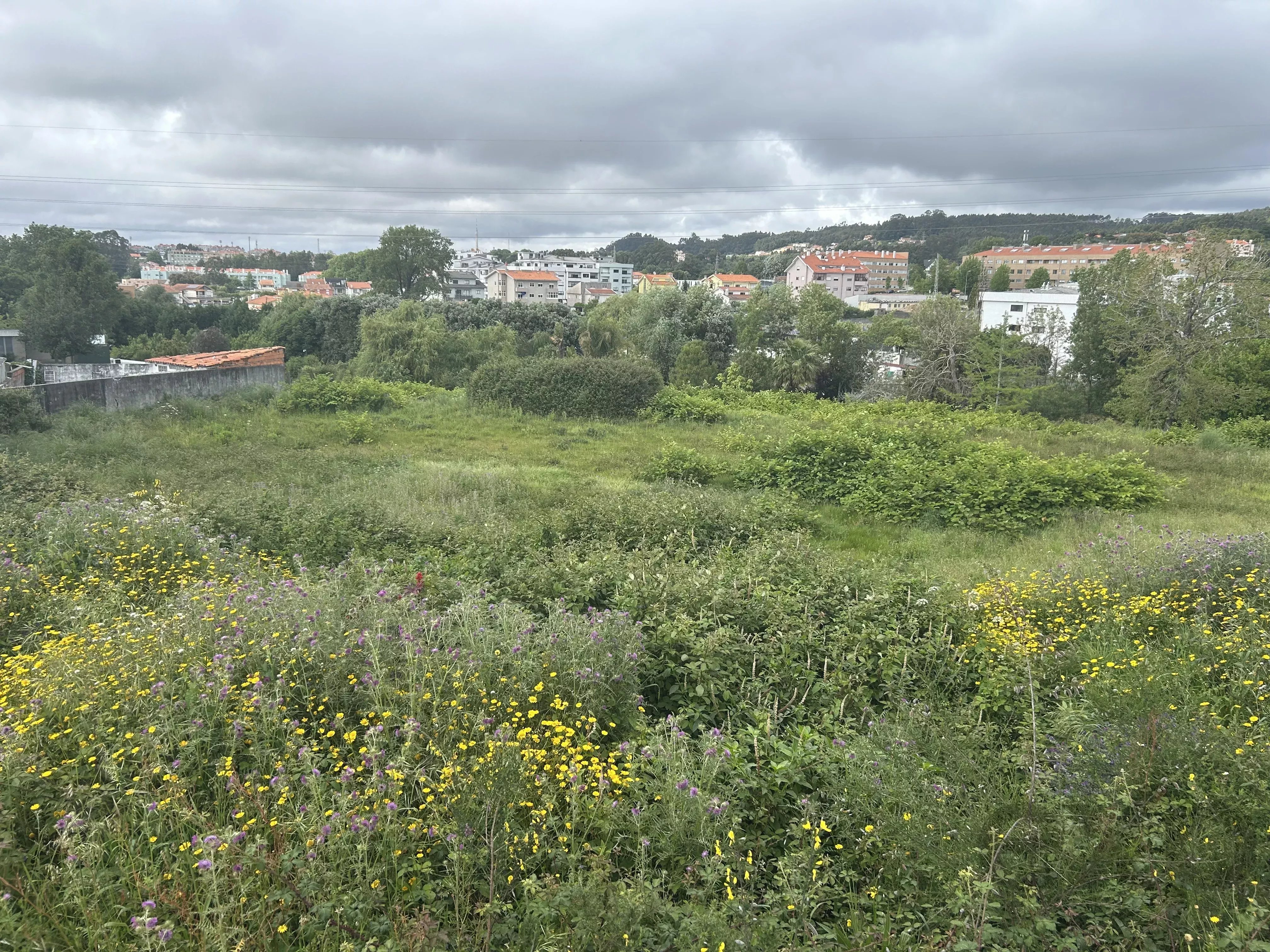 Terreno à venda em Canelas, 6103 m²