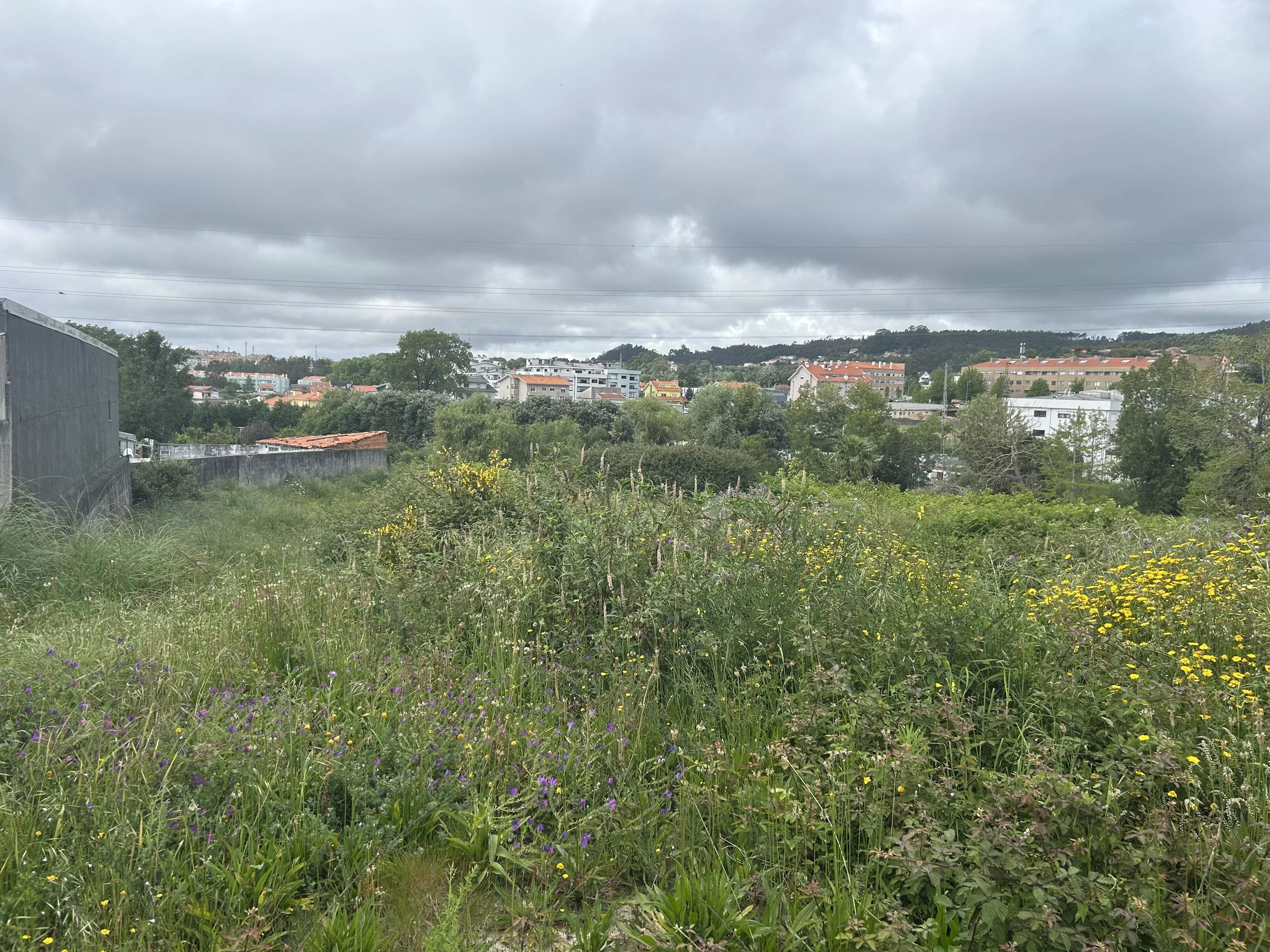 Terreno à venda em Canelas, 6103 m²