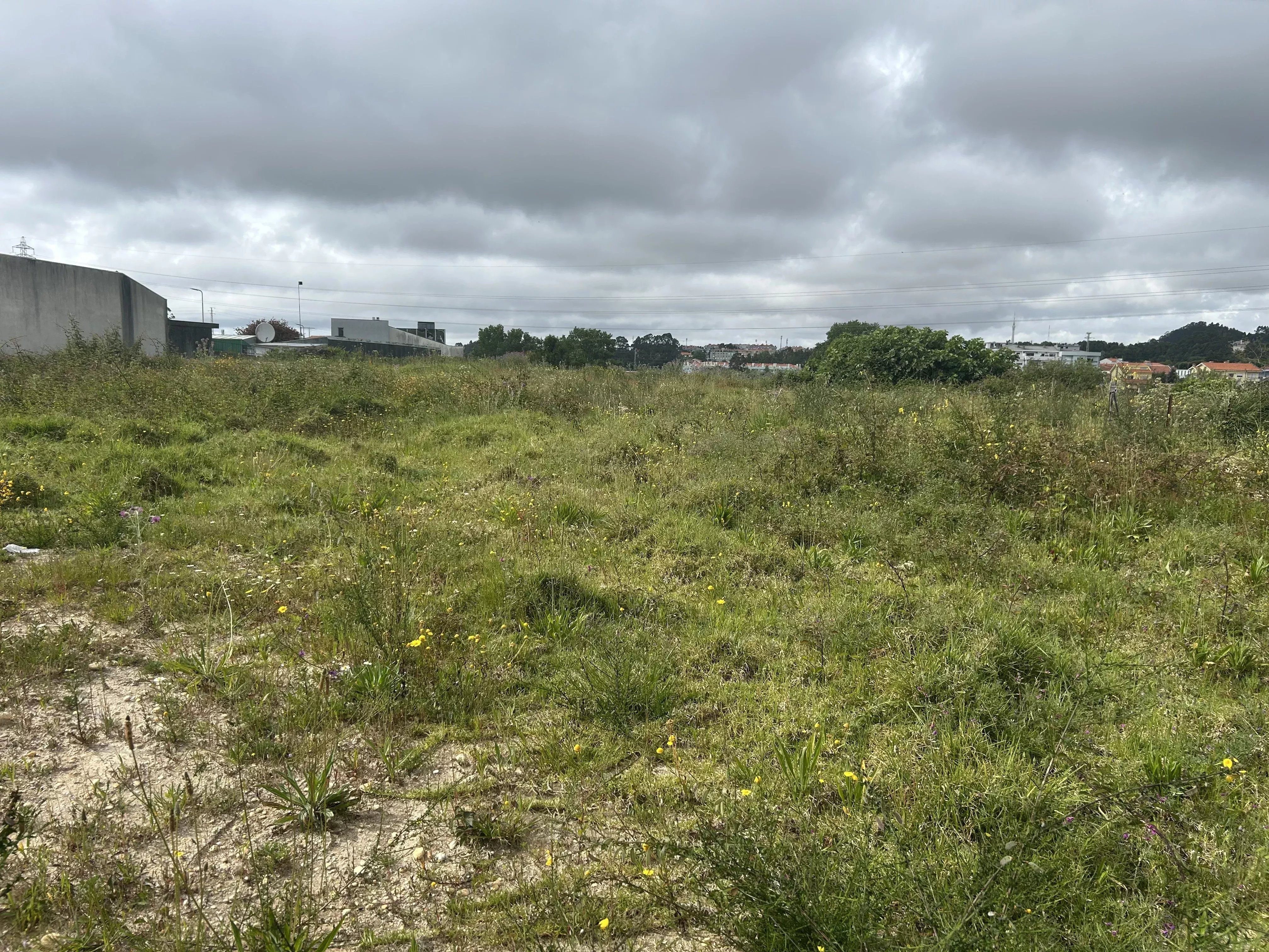 Terreno à venda em Canelas, 6103 m²