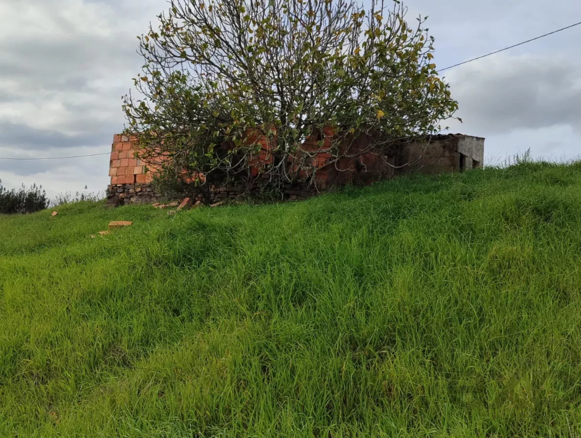 1.13 Hectares: Potencial para Moradia de Luxo ou Projeto Turístico de Elite