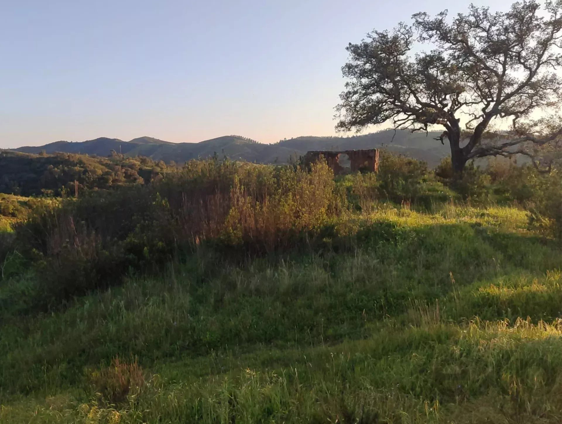 1.13 Hectares: Potencial para Moradia de Luxo ou Projeto Turístico de Elite