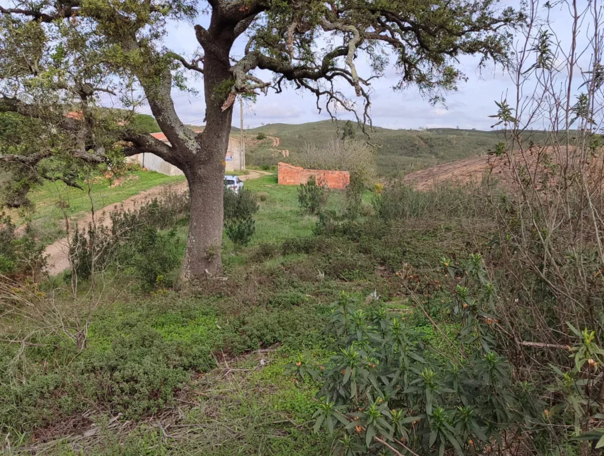 1.13 Hectares: Potencial para Moradia de Luxo ou Projeto Turístico de Elite