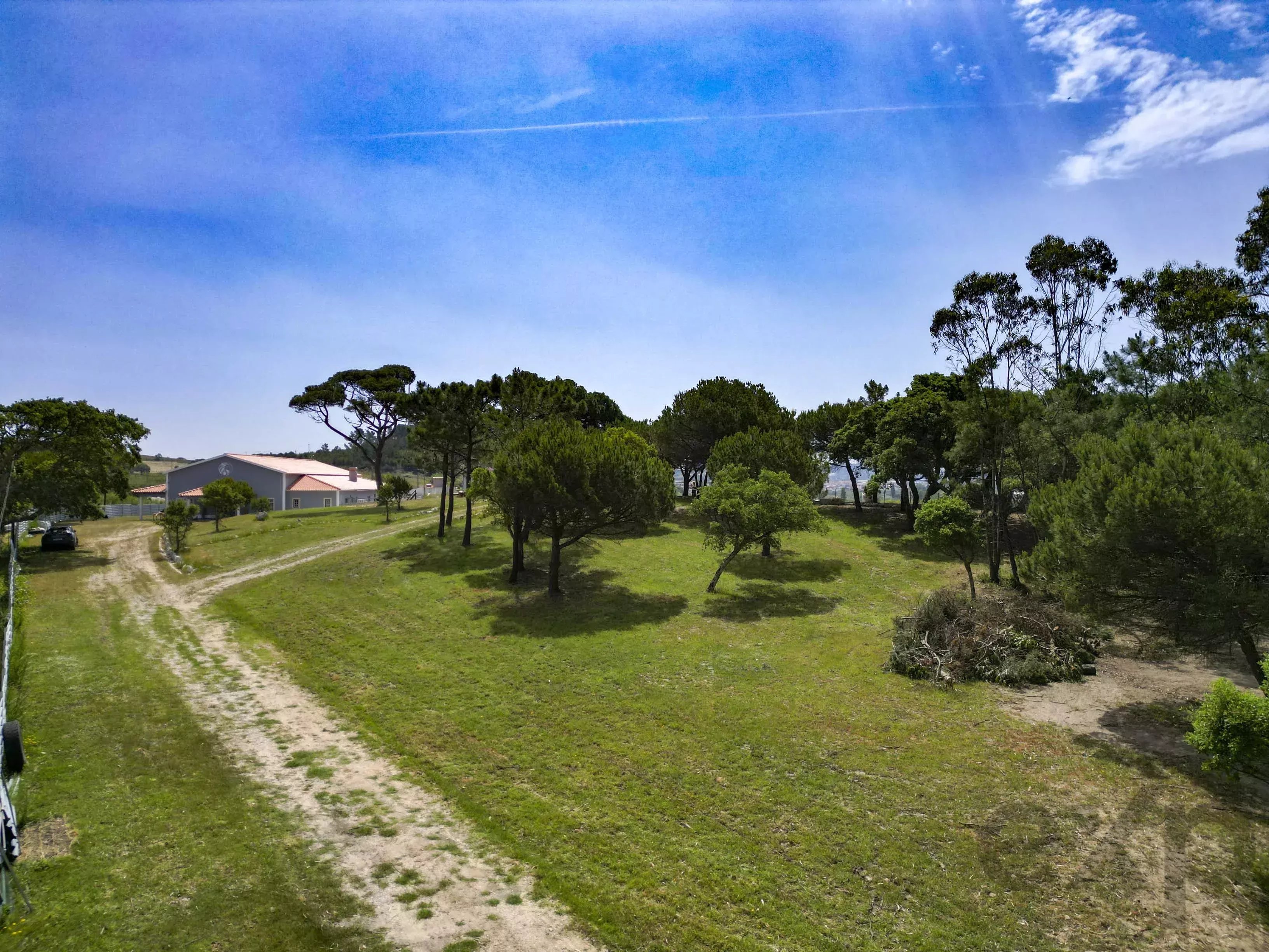 A dos Cunhados, Commercial Farm with a Plot of 9,630 Square Metres 87016840 image 29