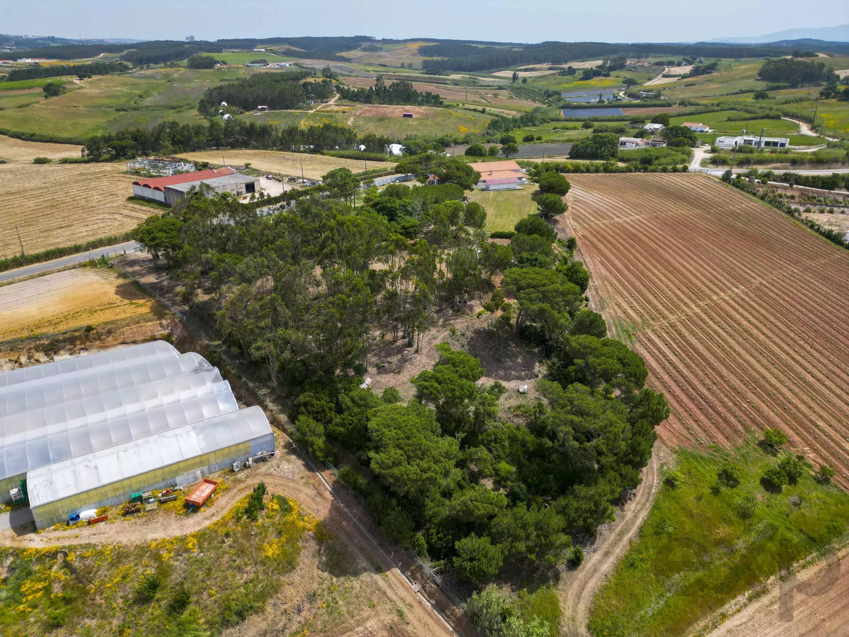 A dos Cunhados, Commercial Farm with a Plot of 9,630 Square Metres 87016840 image 37