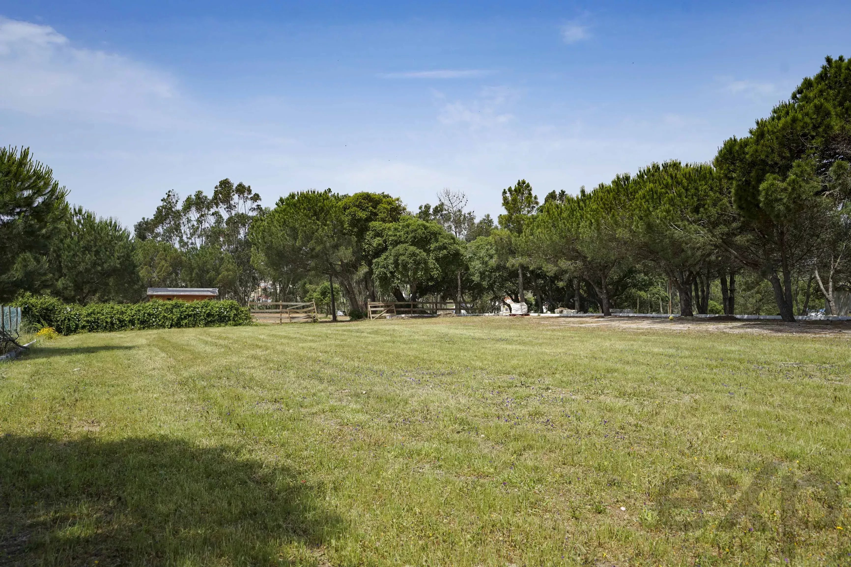 A dos Cunhados, Commercial Farm with a Plot of 9,630 Square Metres 87016840 image 49