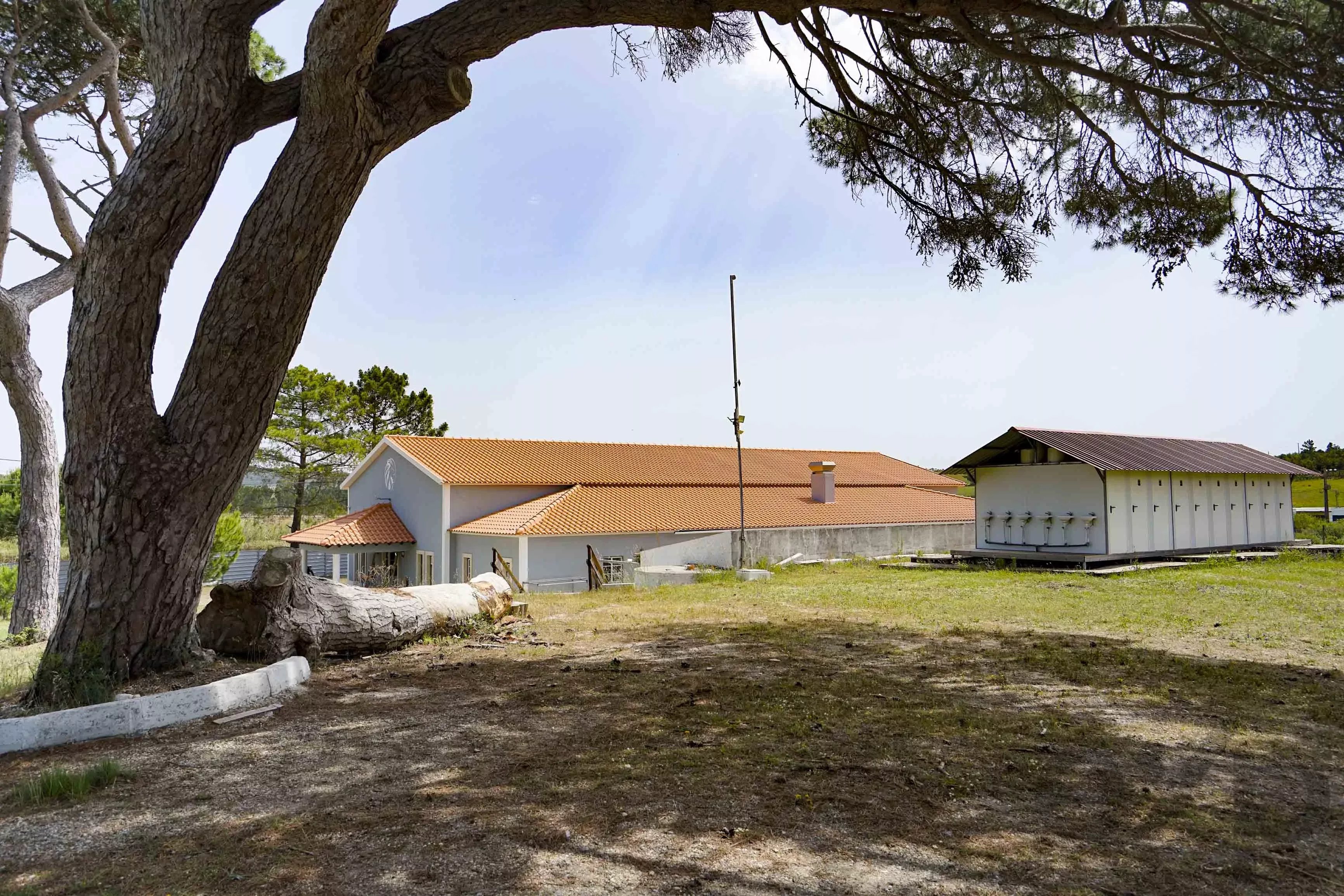 A dos Cunhados, Commercial Farm with a Plot of 9,630 Square Metres 87016840 image 9