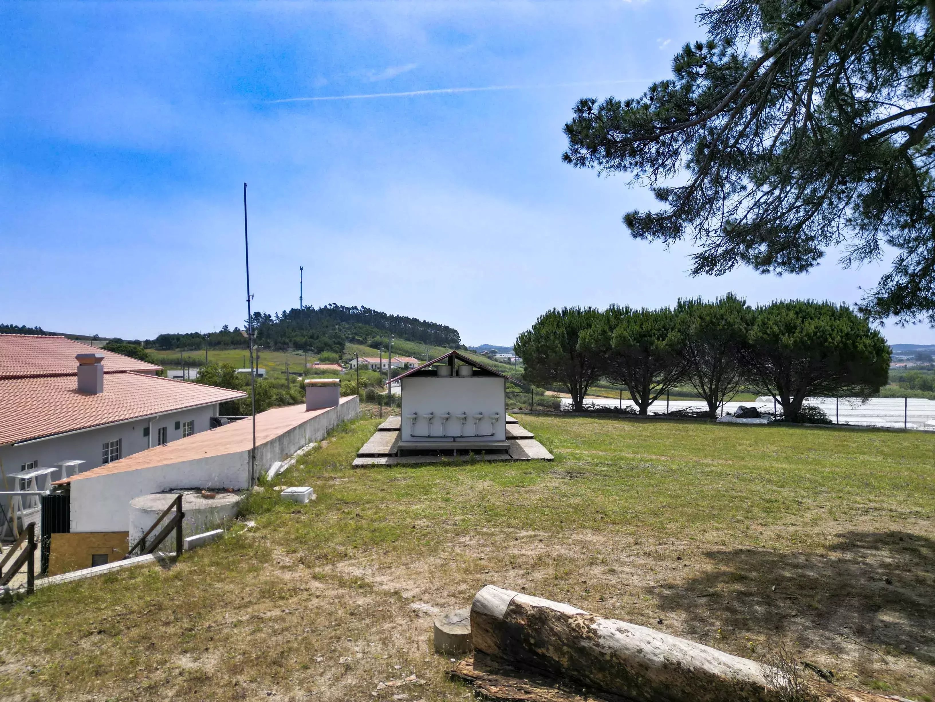 A dos Cunhados, Commercial Farm with a Plot of 9,630 Square Metres 87016840 image 41