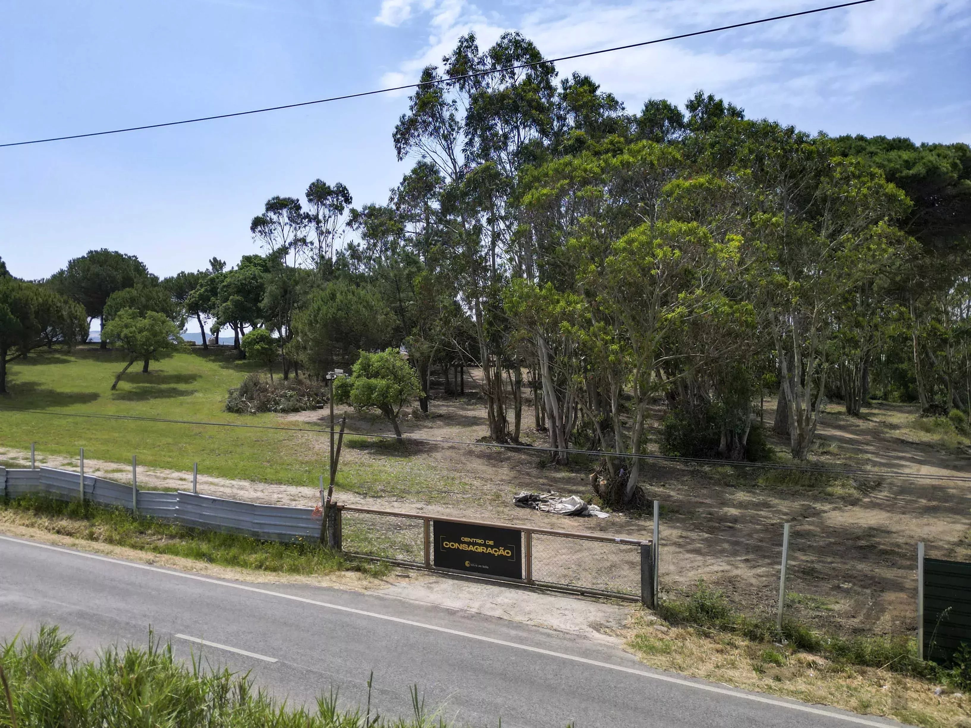 A dos Cunhados, Commercial Farm with a Plot of 9,630 Square Metres 87016840 image 40