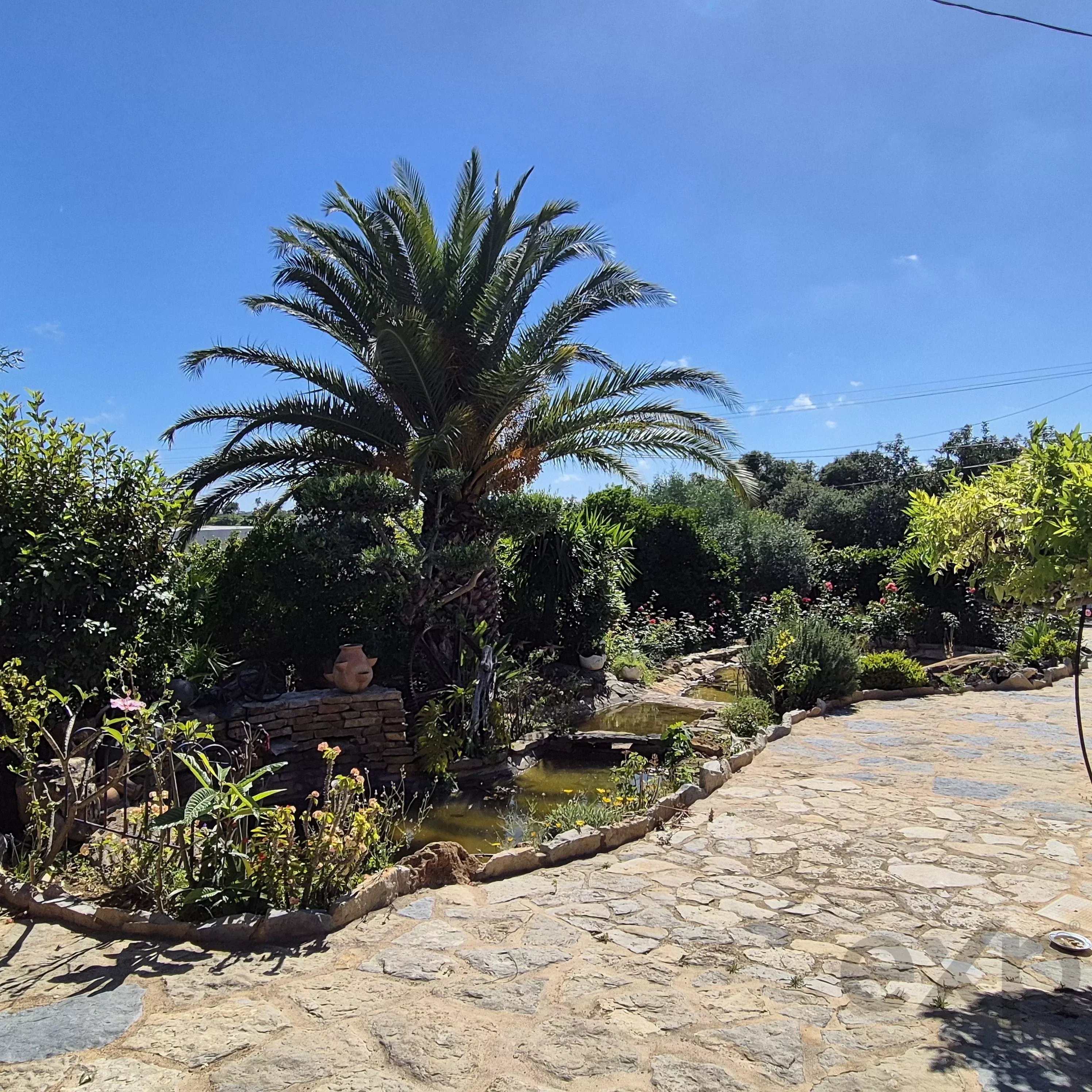 Estate with Swimming Pool 87034529 image 37