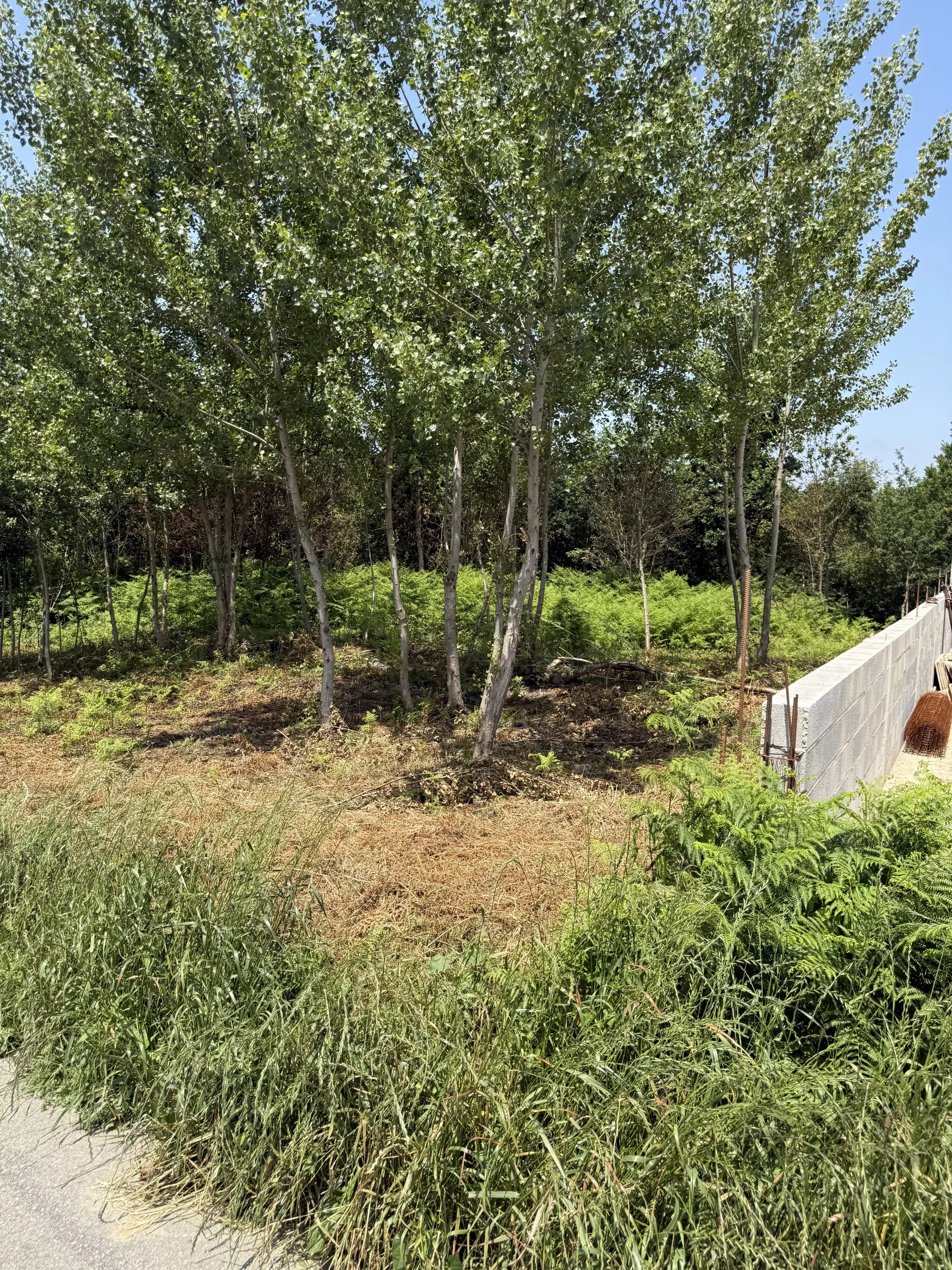 Terreno à venda em Lobão, Gião, Louredo e Guisande, 8050 m²