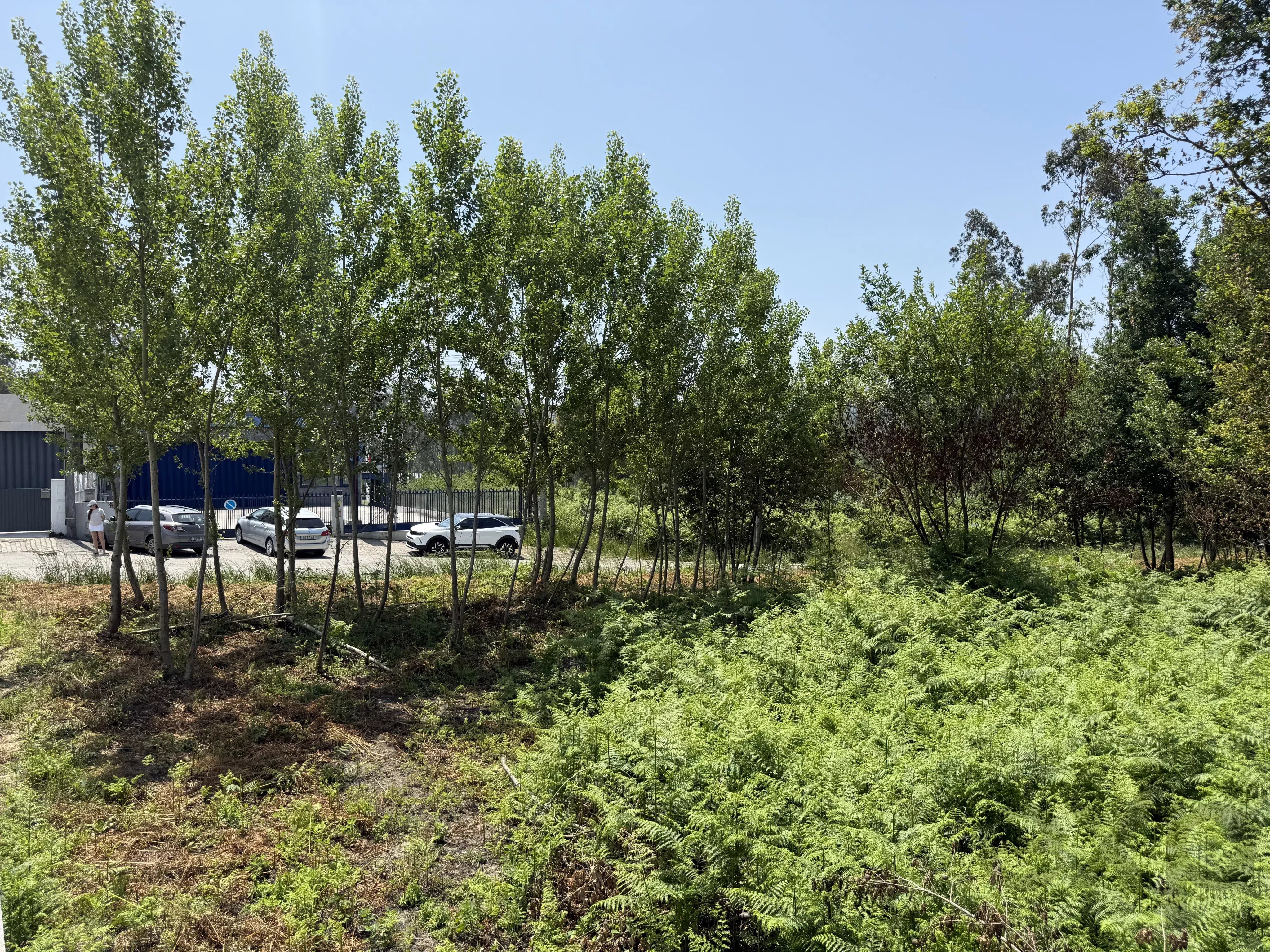 Terreno plano para construção