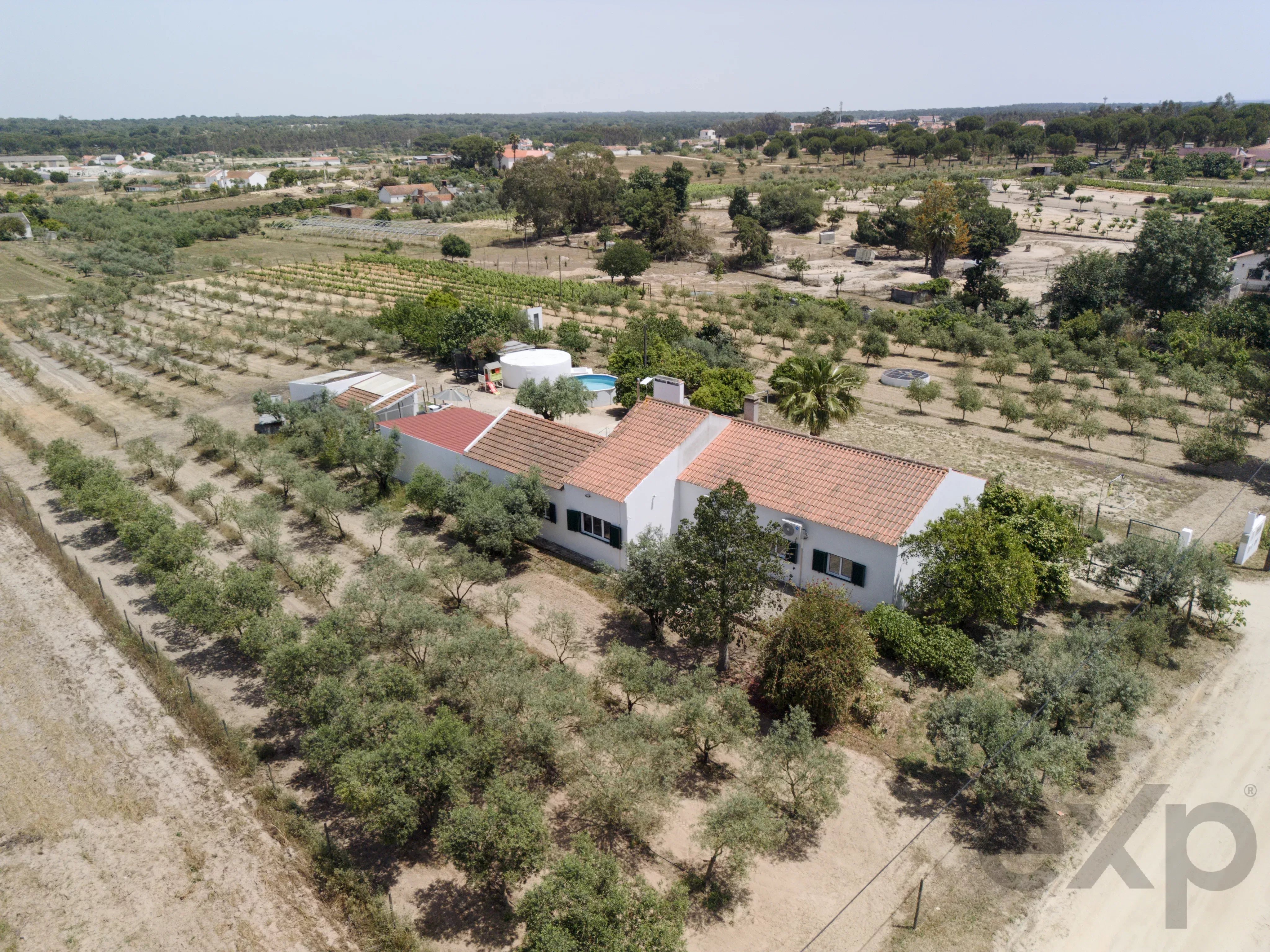 Quinta de 3 quartos com vinhedo, olival e 11.025m² de terreno perto de Coruche