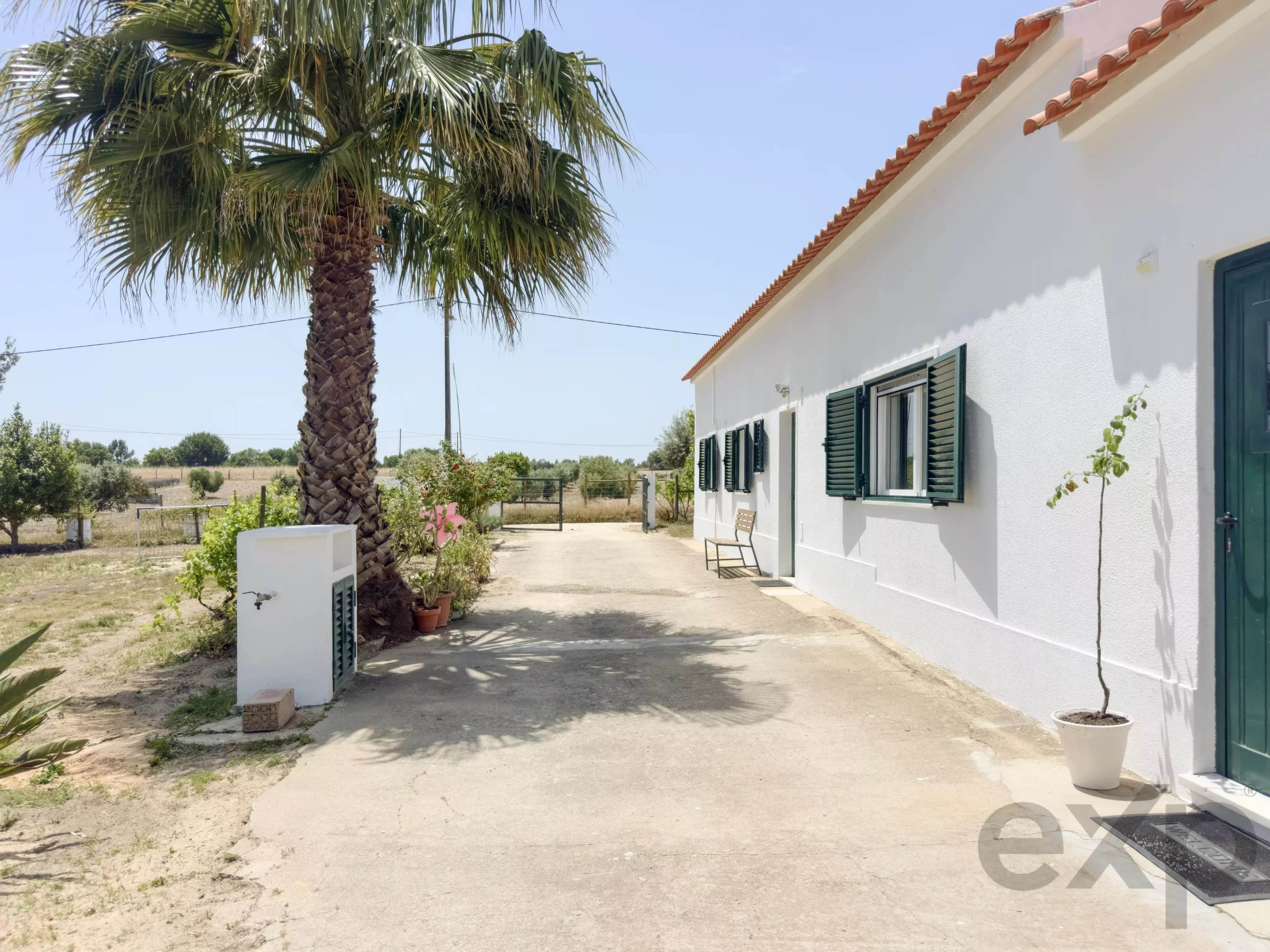 Quinta de 3 quartos com vinhedo, olival e 11.025m² de terreno perto de Coruche