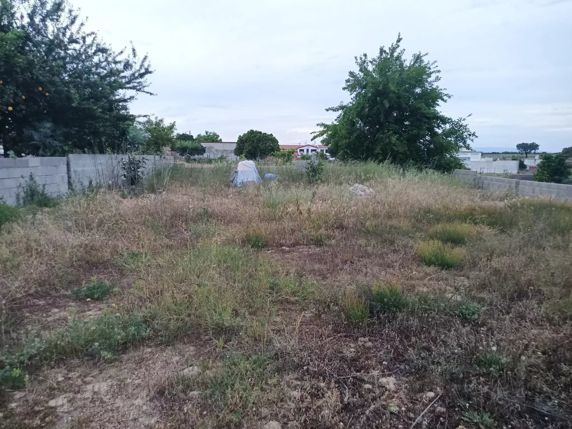 Terreno Residencial em Frade de Baixo, Alpiarça