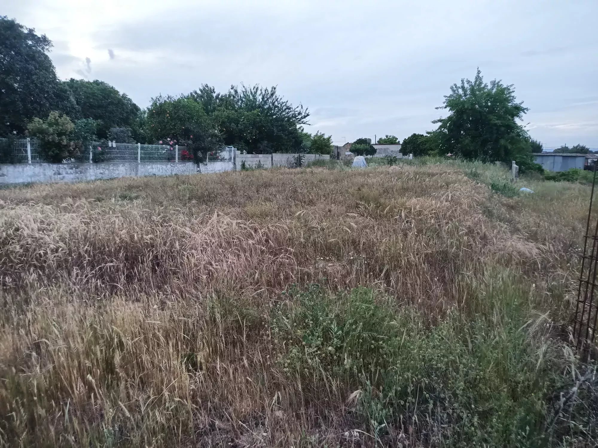 Terreno Residencial em Frade de Baixo, Alpiarça