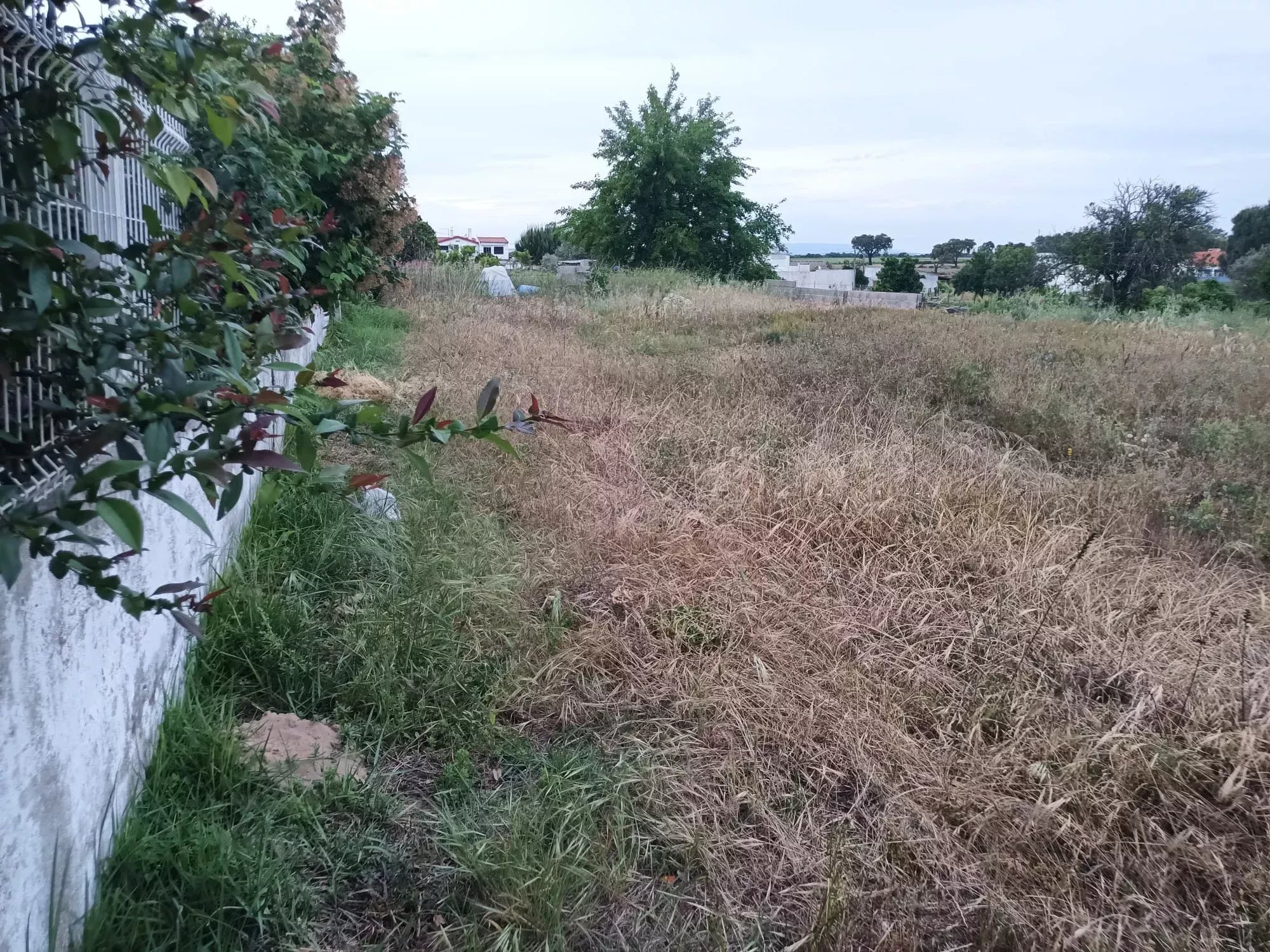 Terreno Residencial em Frade de Baixo, Alpiarça