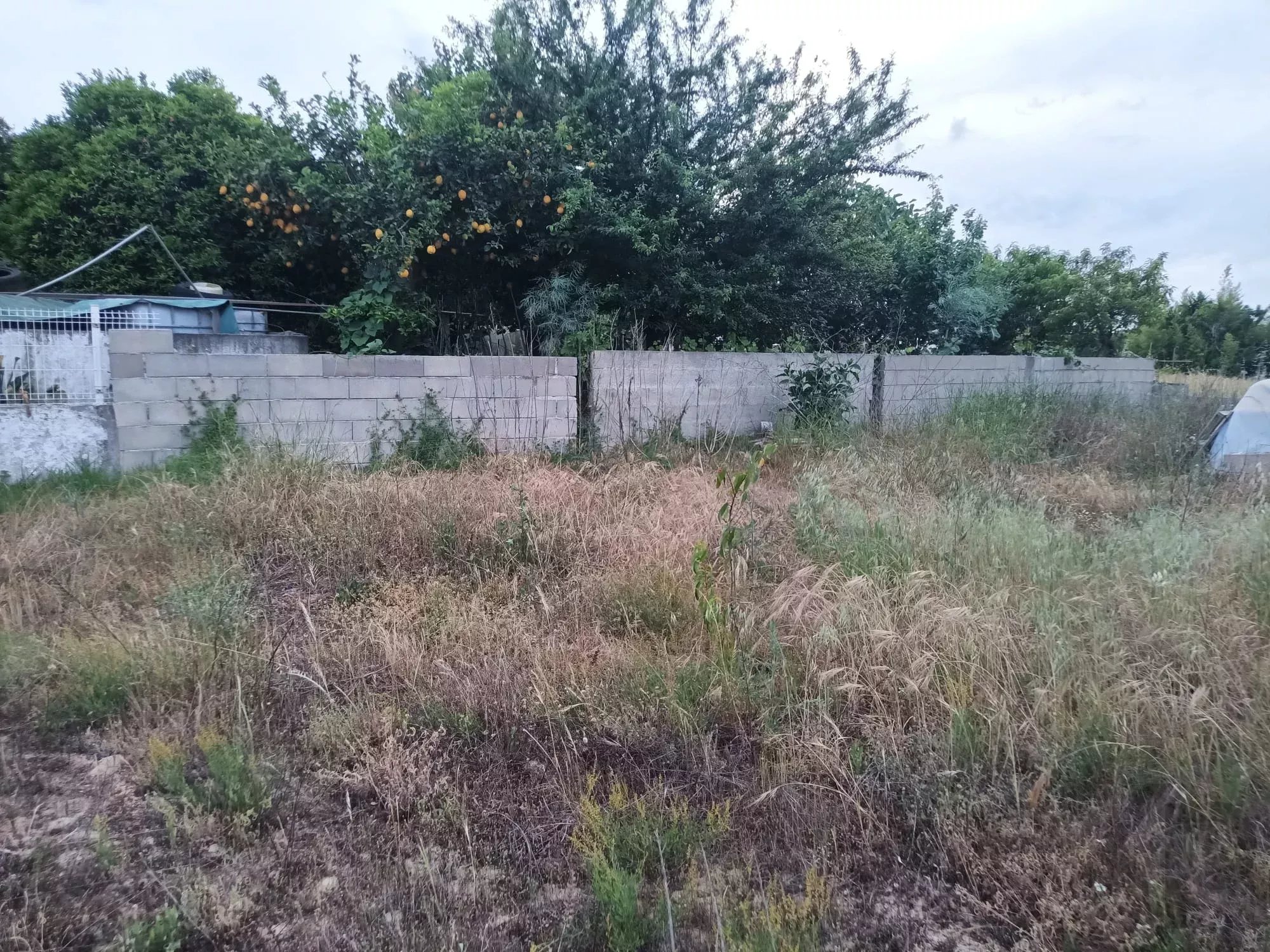 Terreno Residencial em Frade de Baixo, Alpiarça
