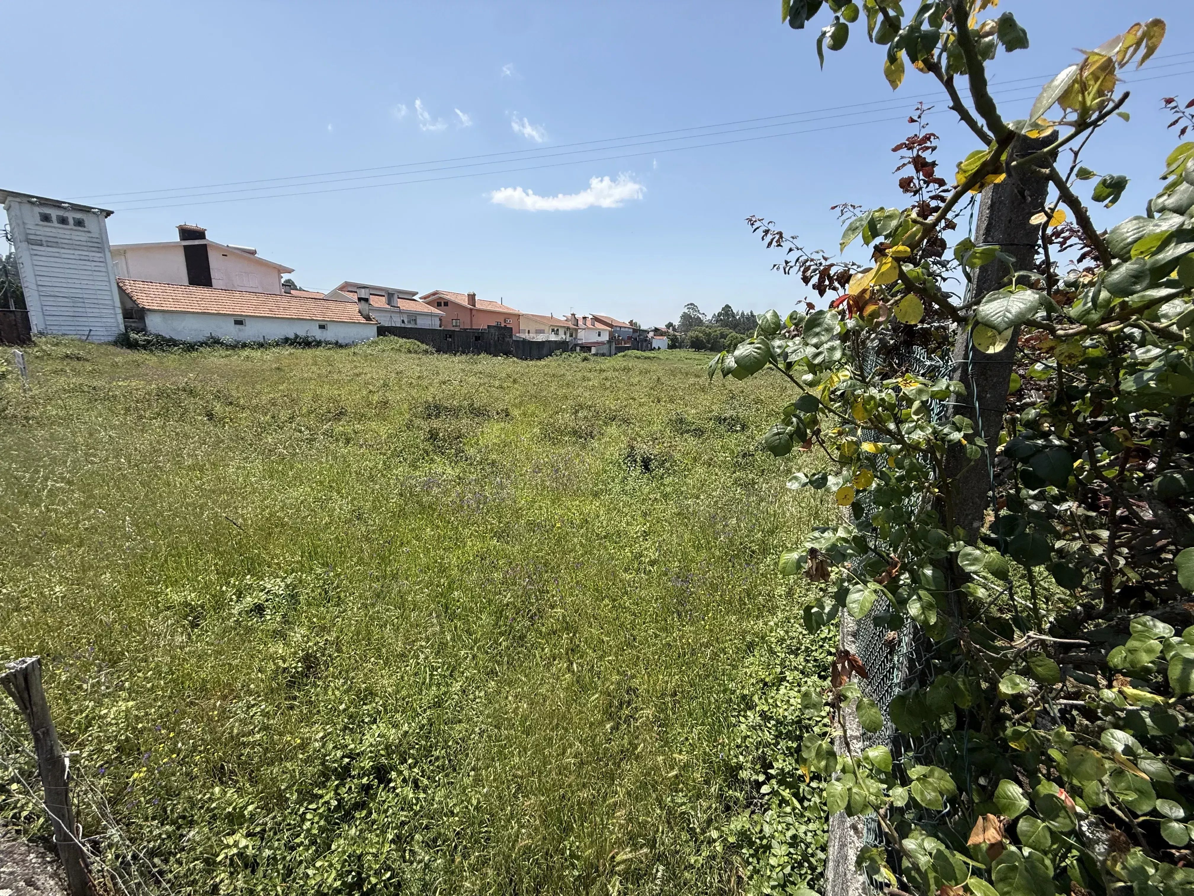 Terreno Urbano de 9612 m² em Fiães para Construção