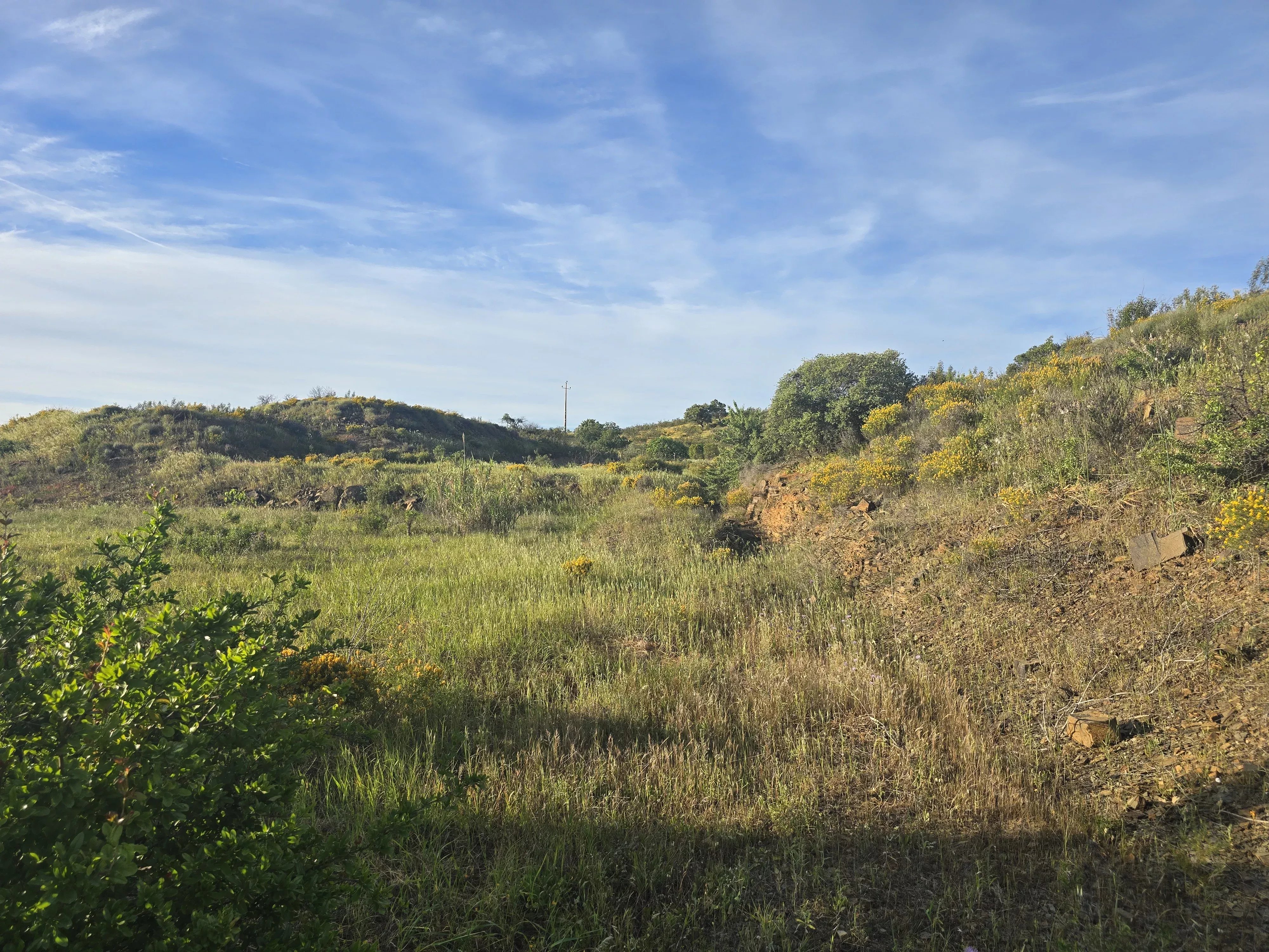 Terreno à venda em Conceição e Cabanas de Tavira, Corte António Martins, 8800-062 Conceição e Cabanas de Tavira, 9850 m²